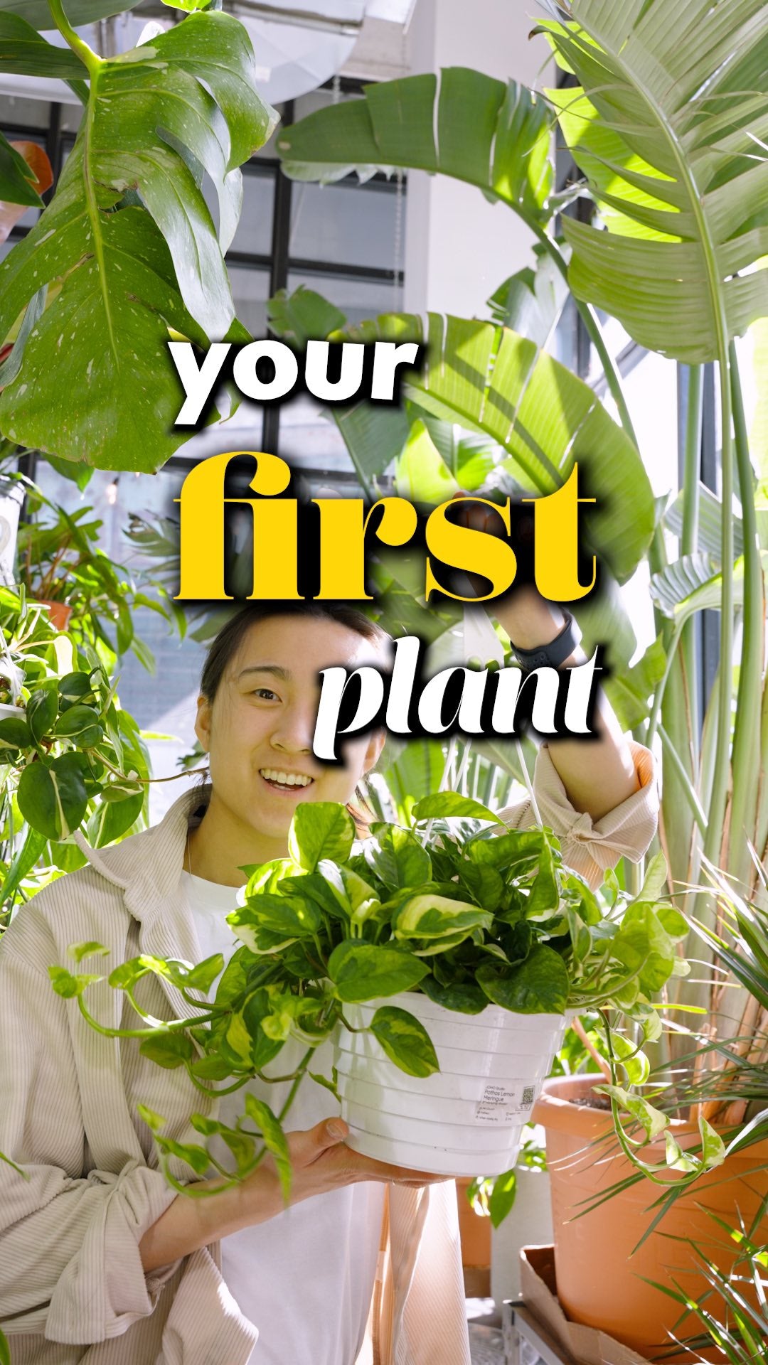 First Plant | JOMO Studio | Buy Plants Online | Houseplant Delivery & Plant Care