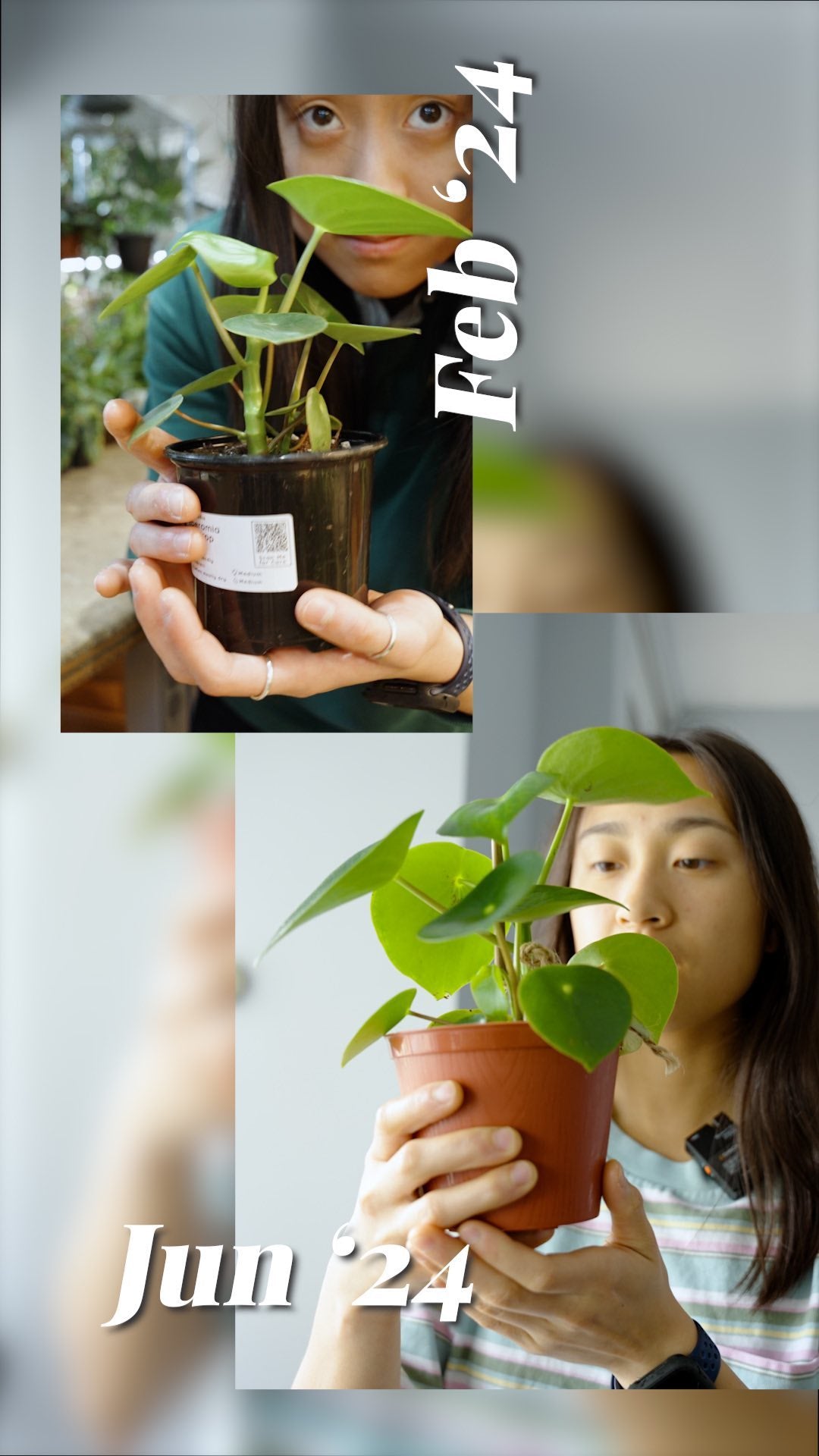 “It’s been 4 months, and it’s still looking good! Not overwatered or yellowed leaves yet🤗” -sherry
🪴We want to know, what’s the longest you’ve had a plant for?
Let’s see who has the oldest plant in the comments below👇
•
•
•
#plantparents #plantcommunity #plantshopping #plantcareisselfcare