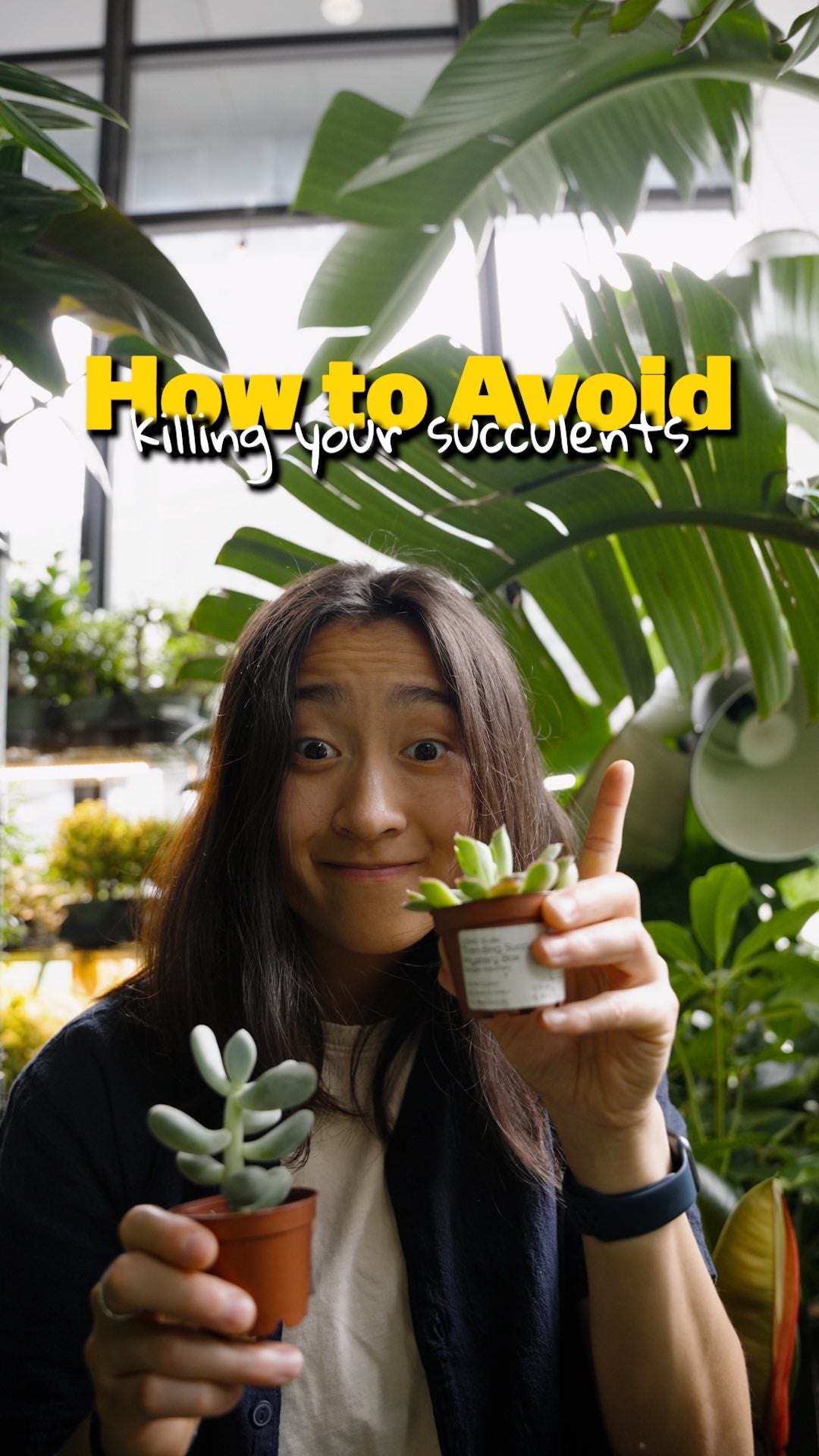 The one mistake killing your succulents | JOMO Studio | Buy Plants Online | Tropical Houseplant Delivery & Plant Care