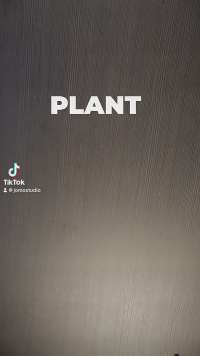 Plant Unboxing - Delivery from Toronto across Canada - JOMO Studio