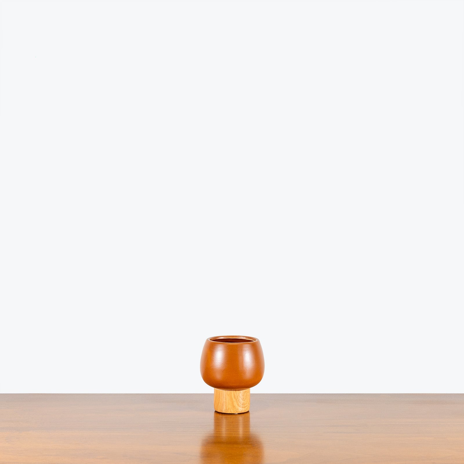 Acorn Pedestal Planter - House Plants Delivery Toronto - JOMO Studio