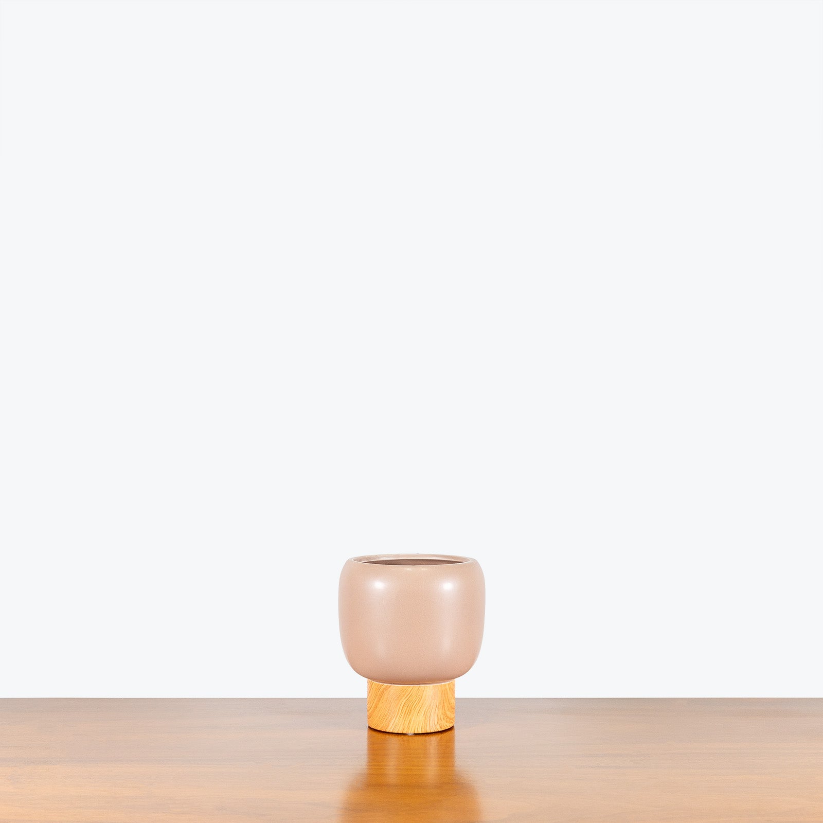 Acorn Pedestal Planter - House Plants Delivery Toronto - JOMO Studio