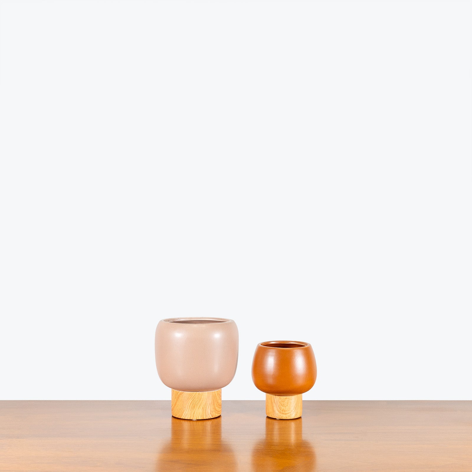 Acorn Pedestal Planter - House Plants Delivery Toronto - JOMO Studio