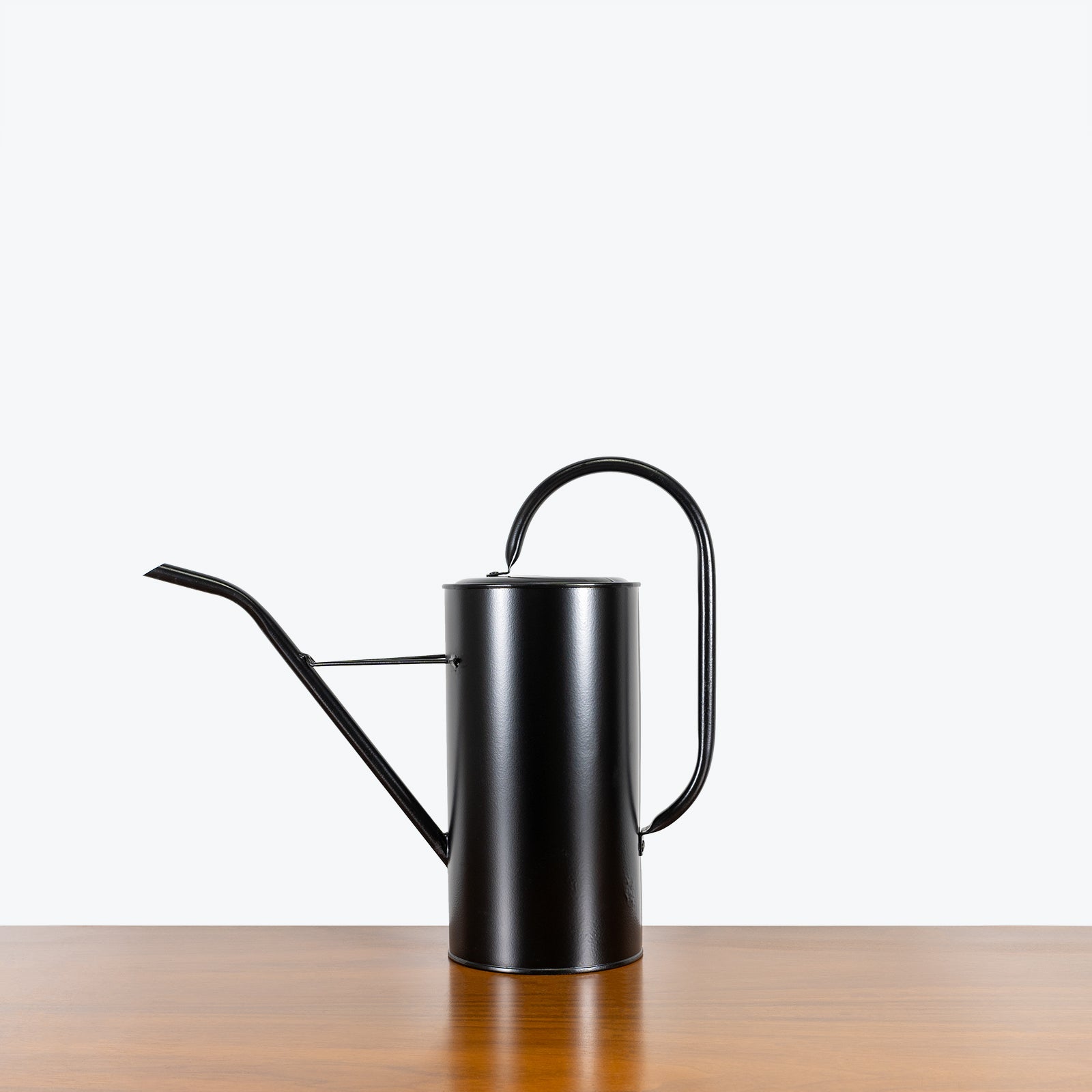 Black Watering Can - House Plants Delivery Toronto - JOMO Studio