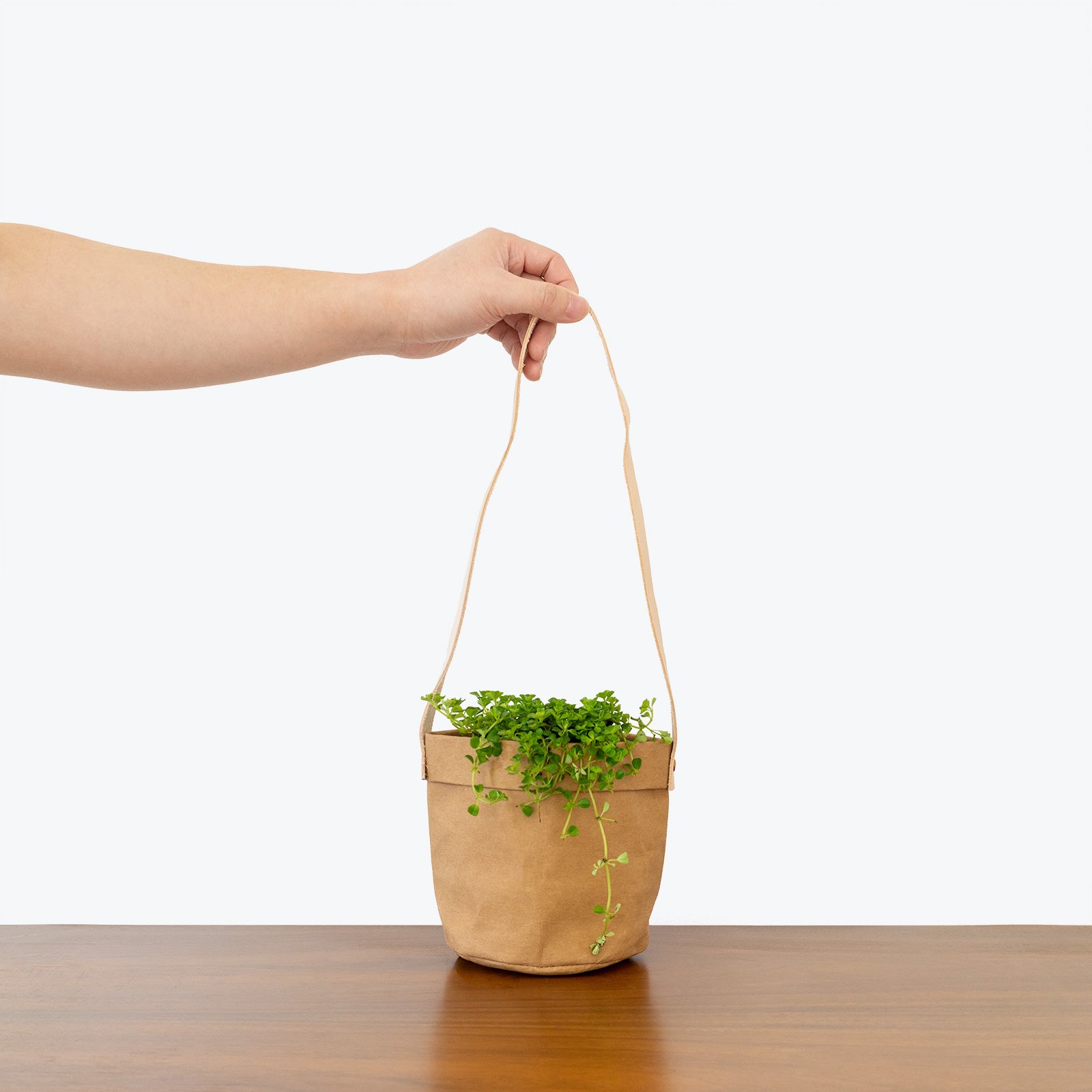 Eco-Friendly Washable Paper Hanging Basket Planter - JOMO Studio