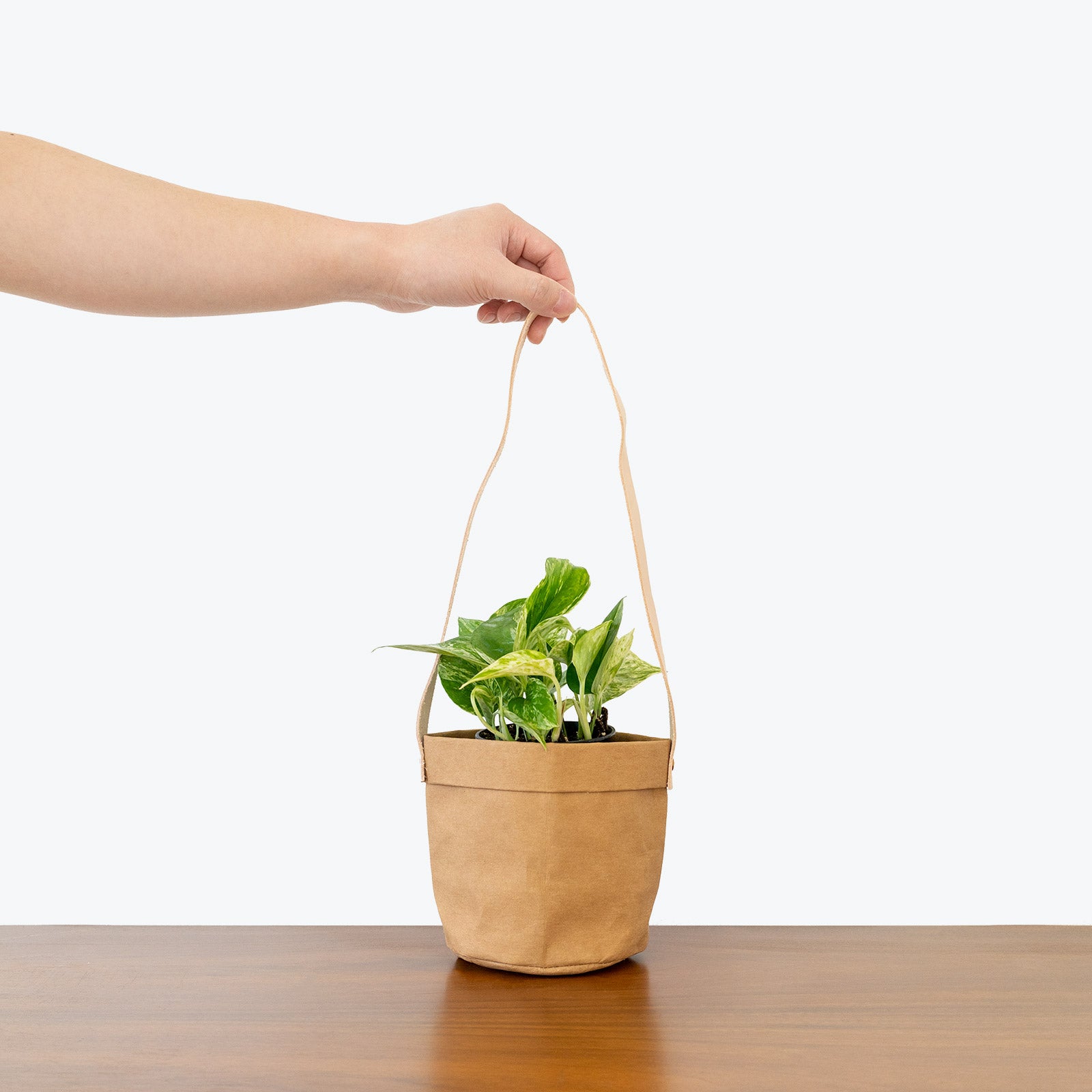 small hanging plant pot Eco-Friendly Washable Paper Hanging Basket Planter