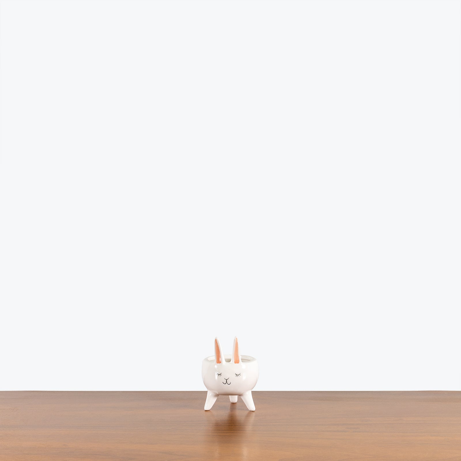 Rabbit - Ceramic Animal Planter - House Plants Delivery Toronto - JOMO Studio