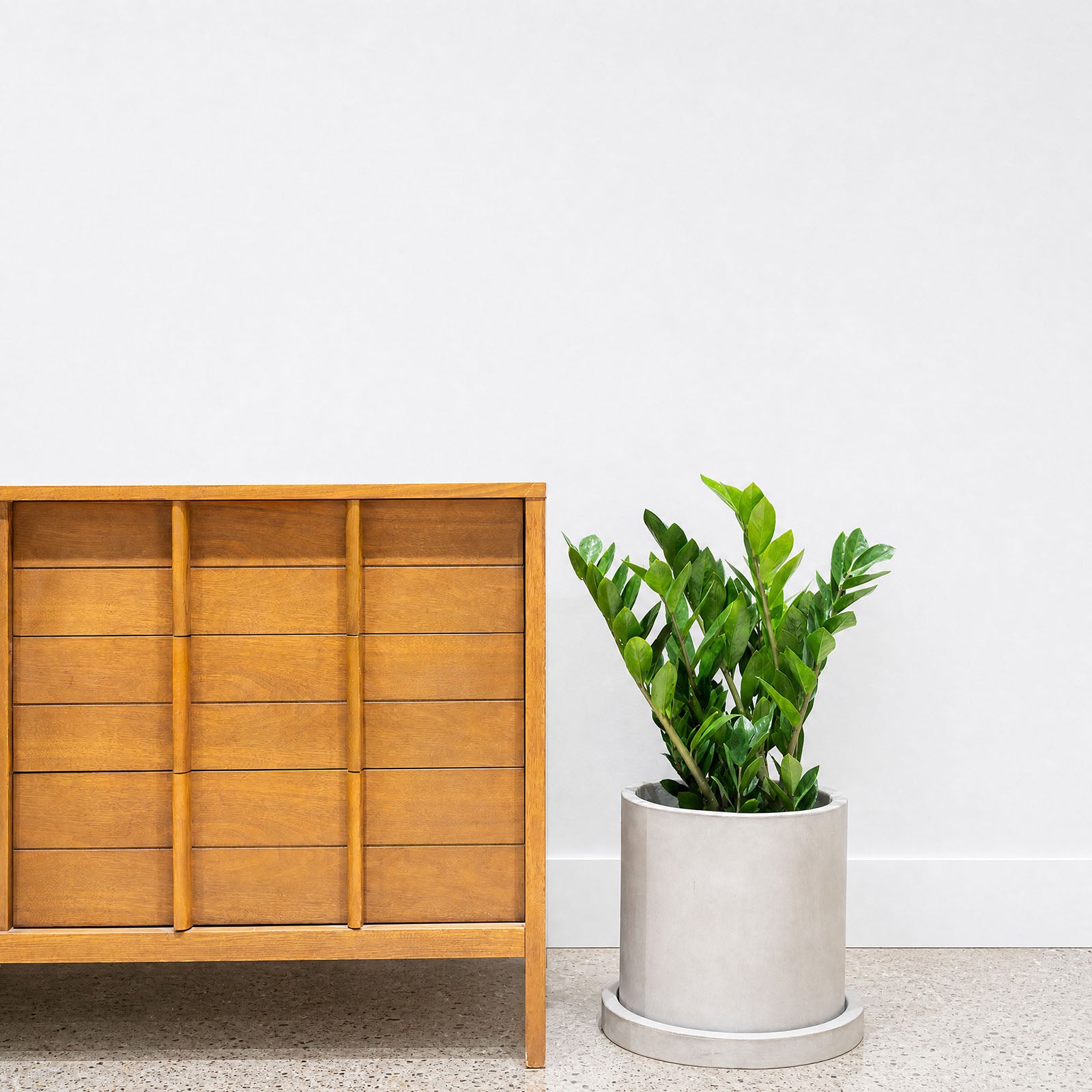 Classic Concrete Planter - House Plants Delivery Toronto - JOMO Studio