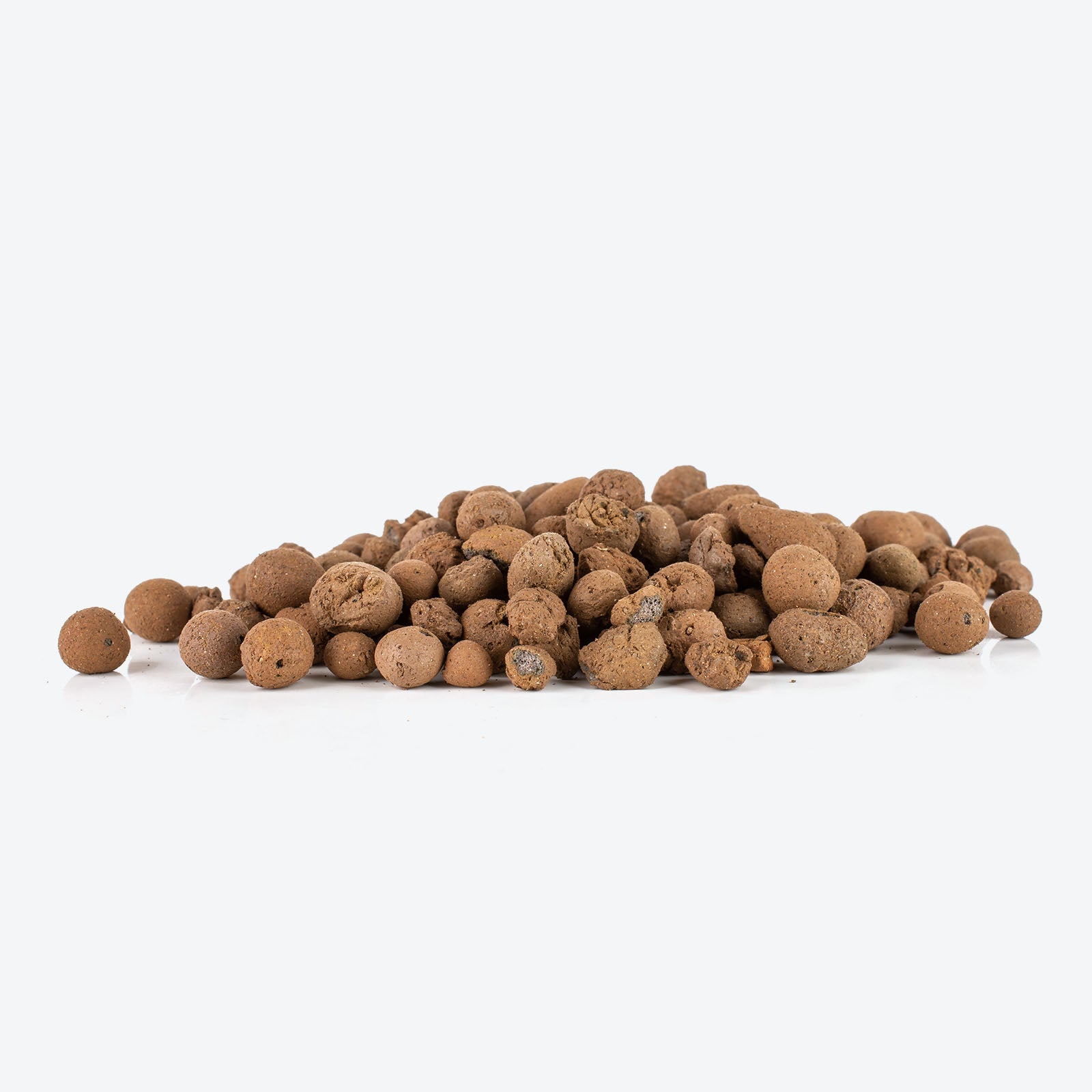 Clay Pebbles - LECA Hydroton - House Plants Delivery Toronto - JOMO Studio