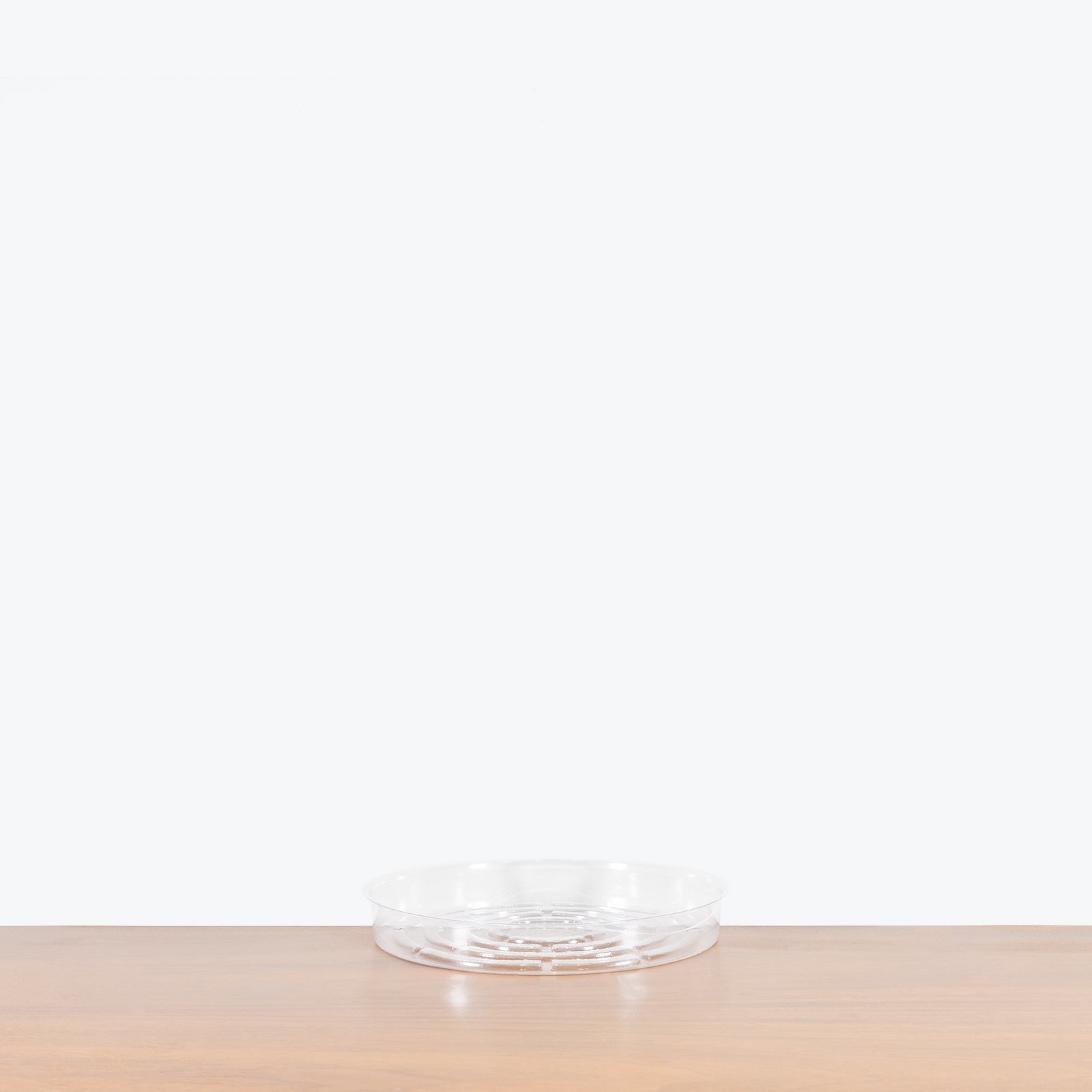 10" Clear Plant Saucer - House Plants Delivery Toronto - JOMO Studio