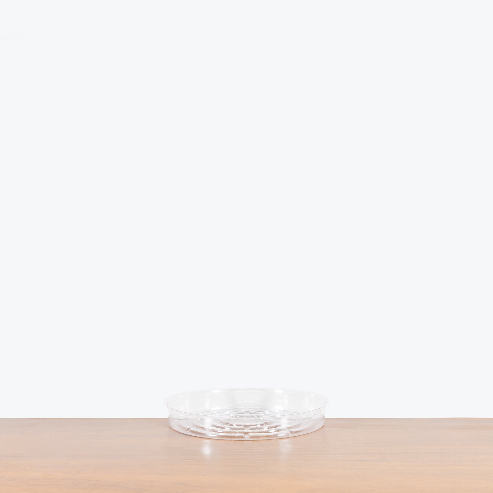 10" Clear Plant Saucer - House Plants Delivery Toronto - JOMO Studio