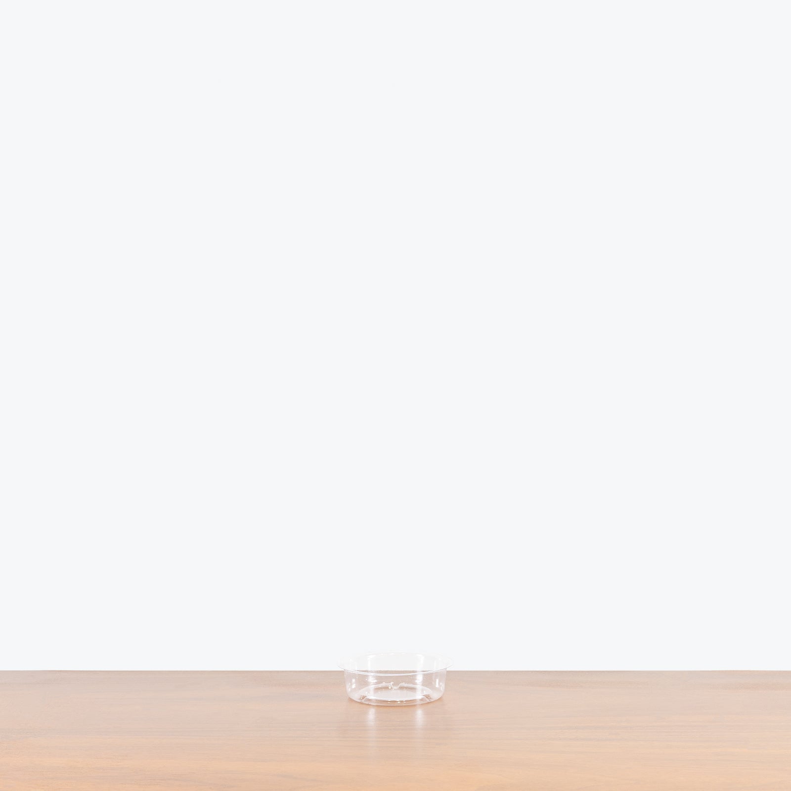 4" Clear Plant Saucer - House Plants Delivery Toronto - JOMO Studio