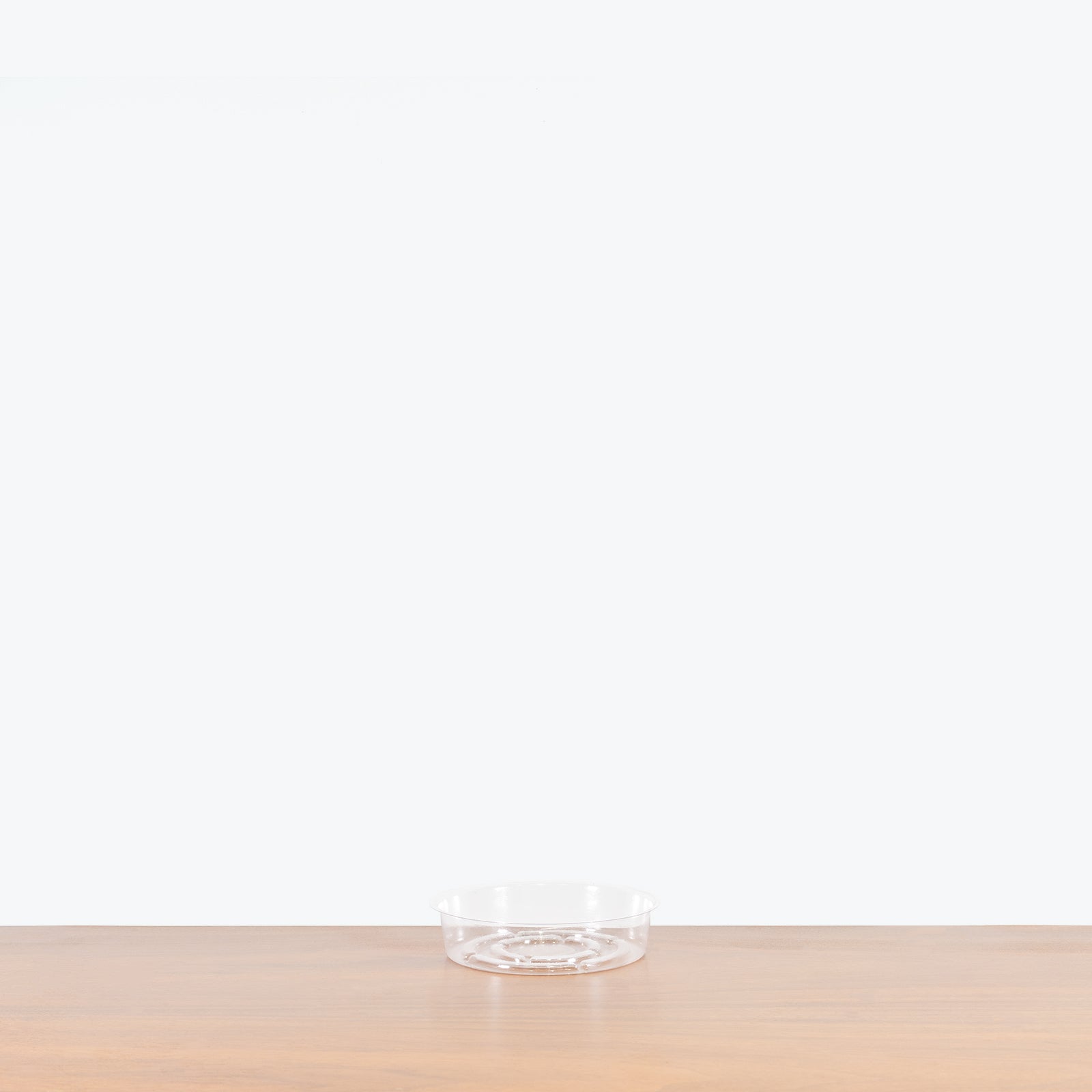 6" Clear Plant Saucer - House Plants Delivery Toronto - JOMO Studio