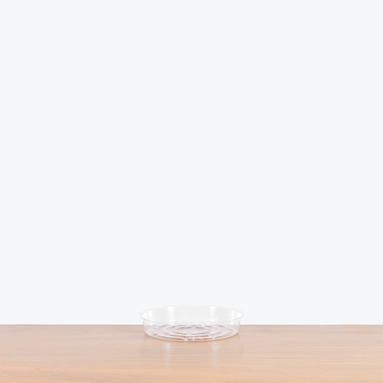 8" Clear Plant Saucer - House Plants Delivery Toronto - JOMO Studio