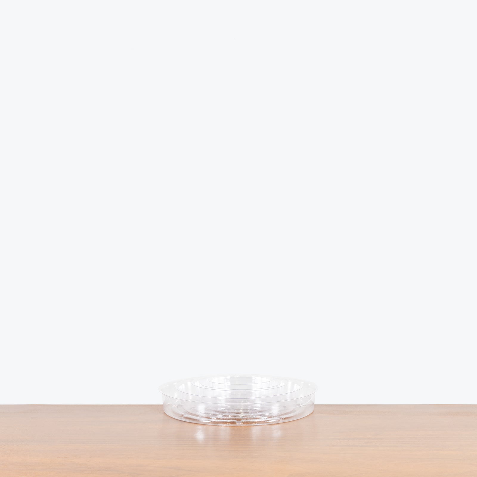 Clear Plant Saucer - House Plants Delivery Toronto - JOMO Studio