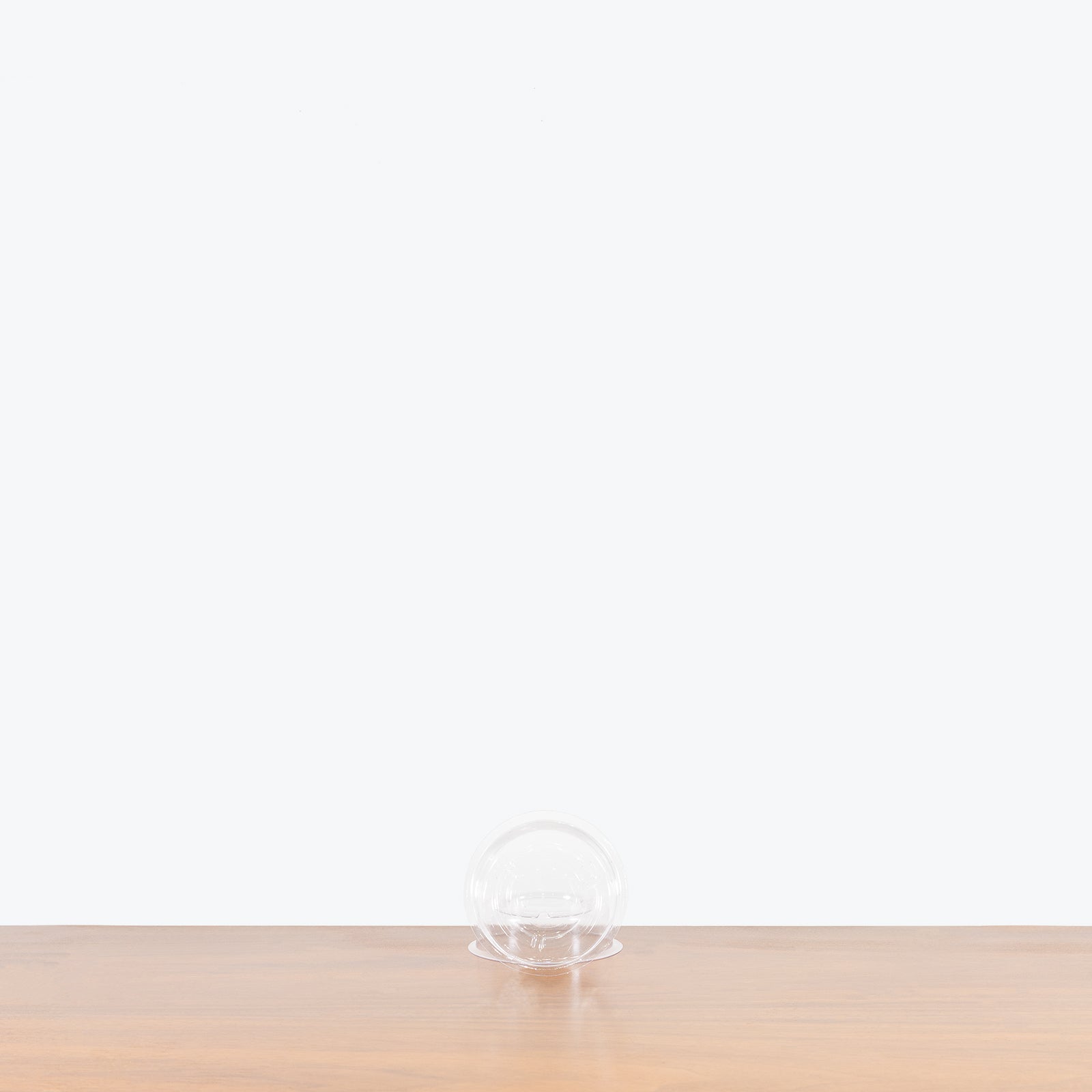 Clear Plant Saucer - House Plants Delivery Toronto - JOMO Studio