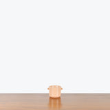 Coral Ceramic Planter — X Small - Fit 2.5" Pot