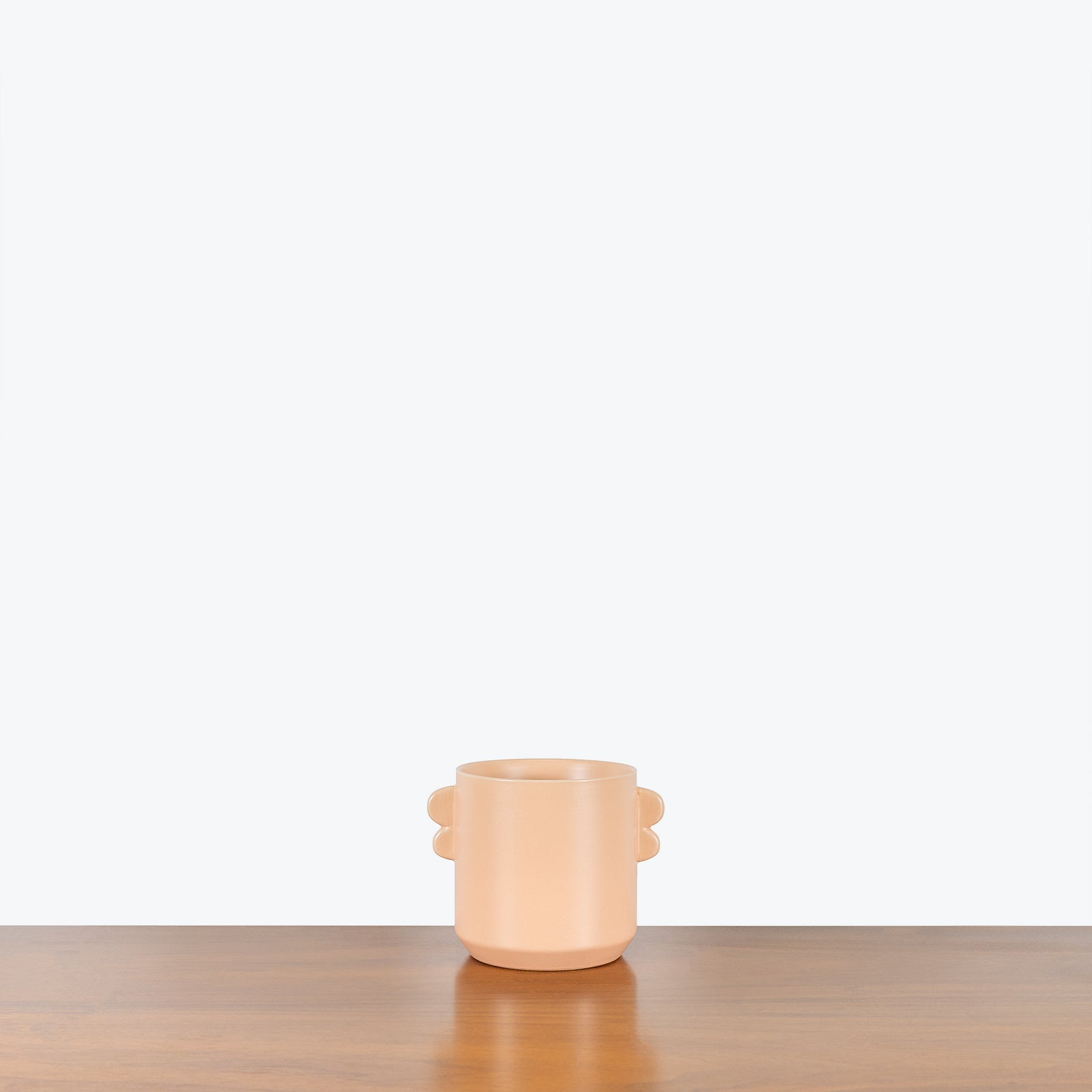 Coral Ceramic Planter - House Plants Delivery Toronto - JOMO Studio