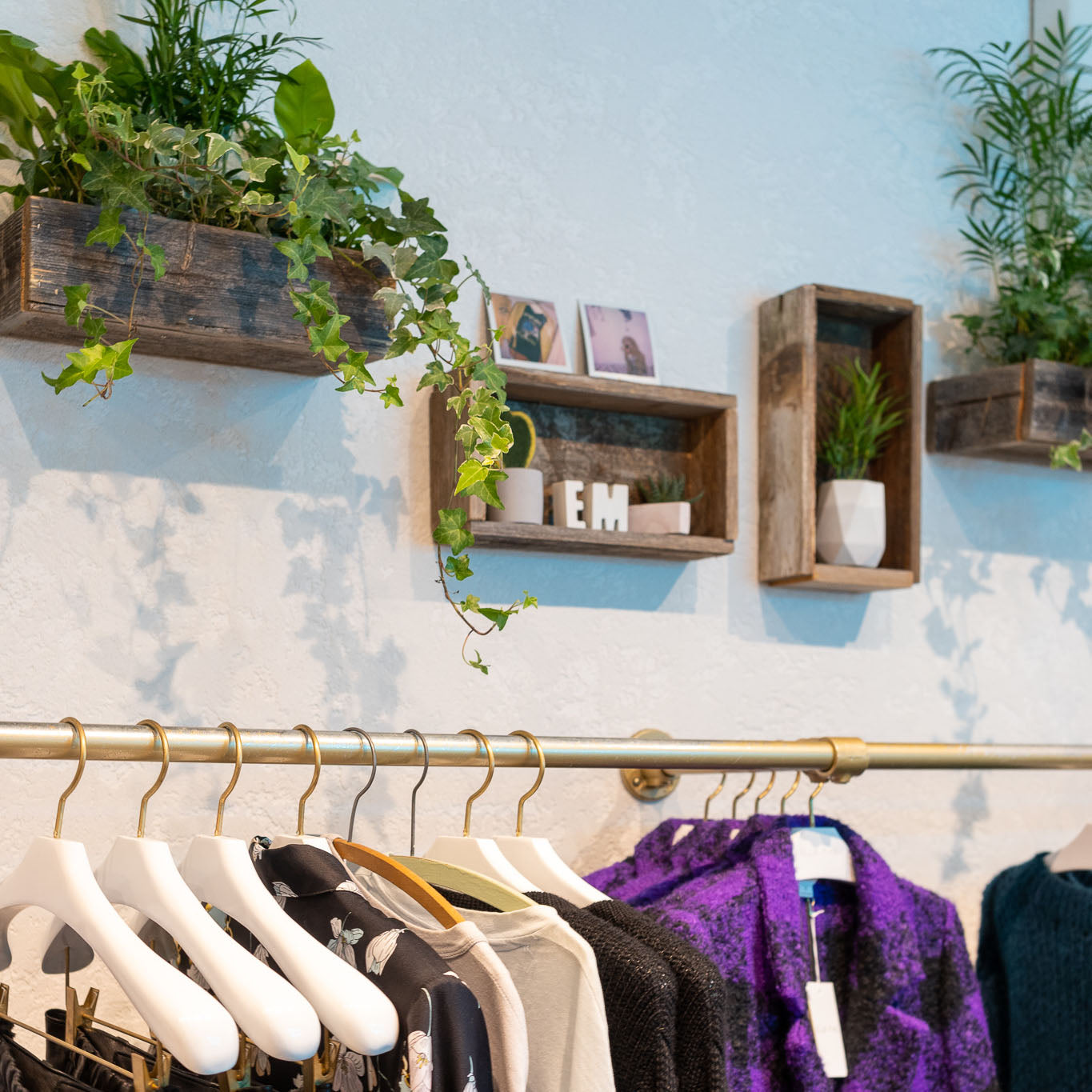 Plant Consultation - Ellie Mae - House Plants Delivery Toronto - JOMO Studio
