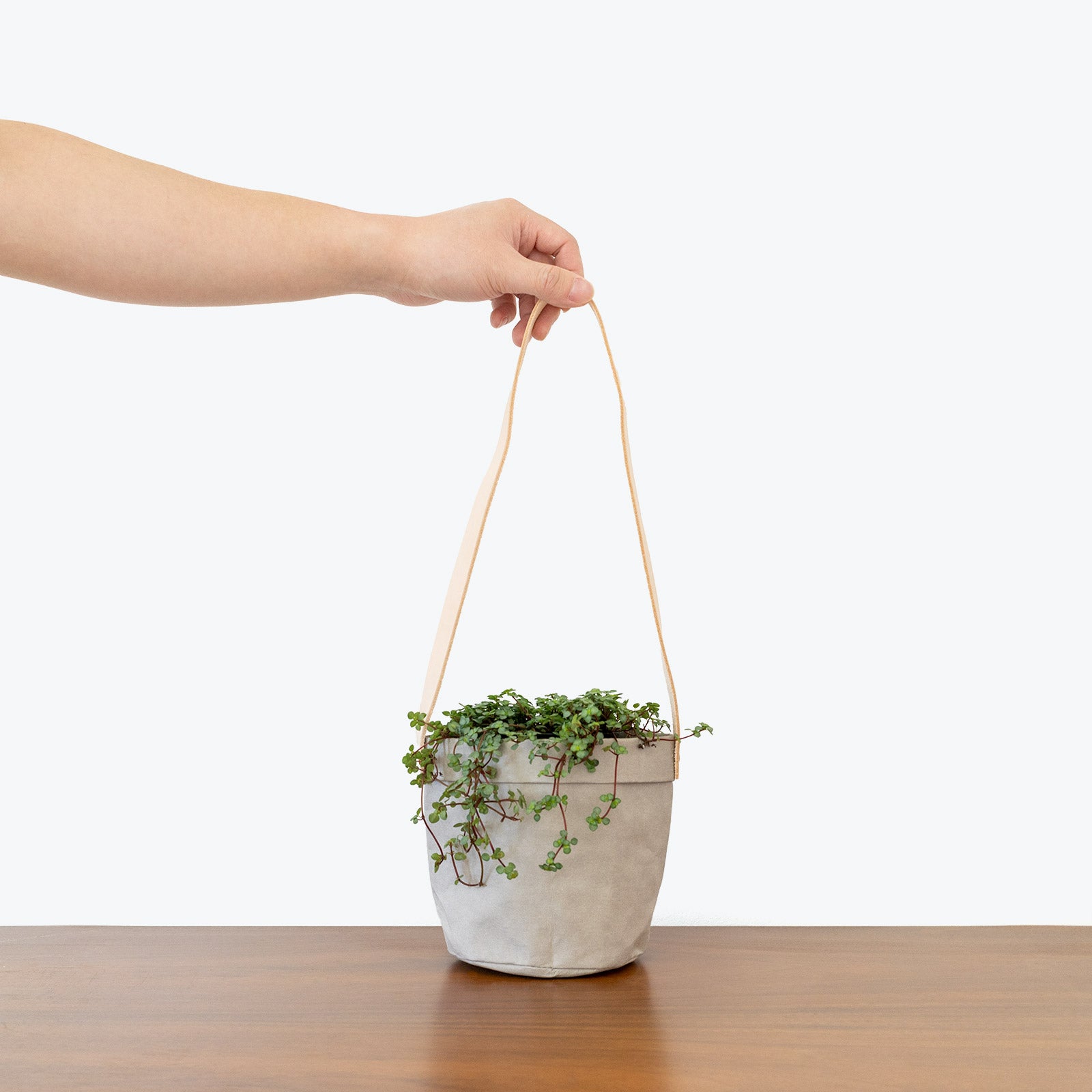 Eco-Friendly Washable Paper Hanging Basket Planter - JOMO Studio