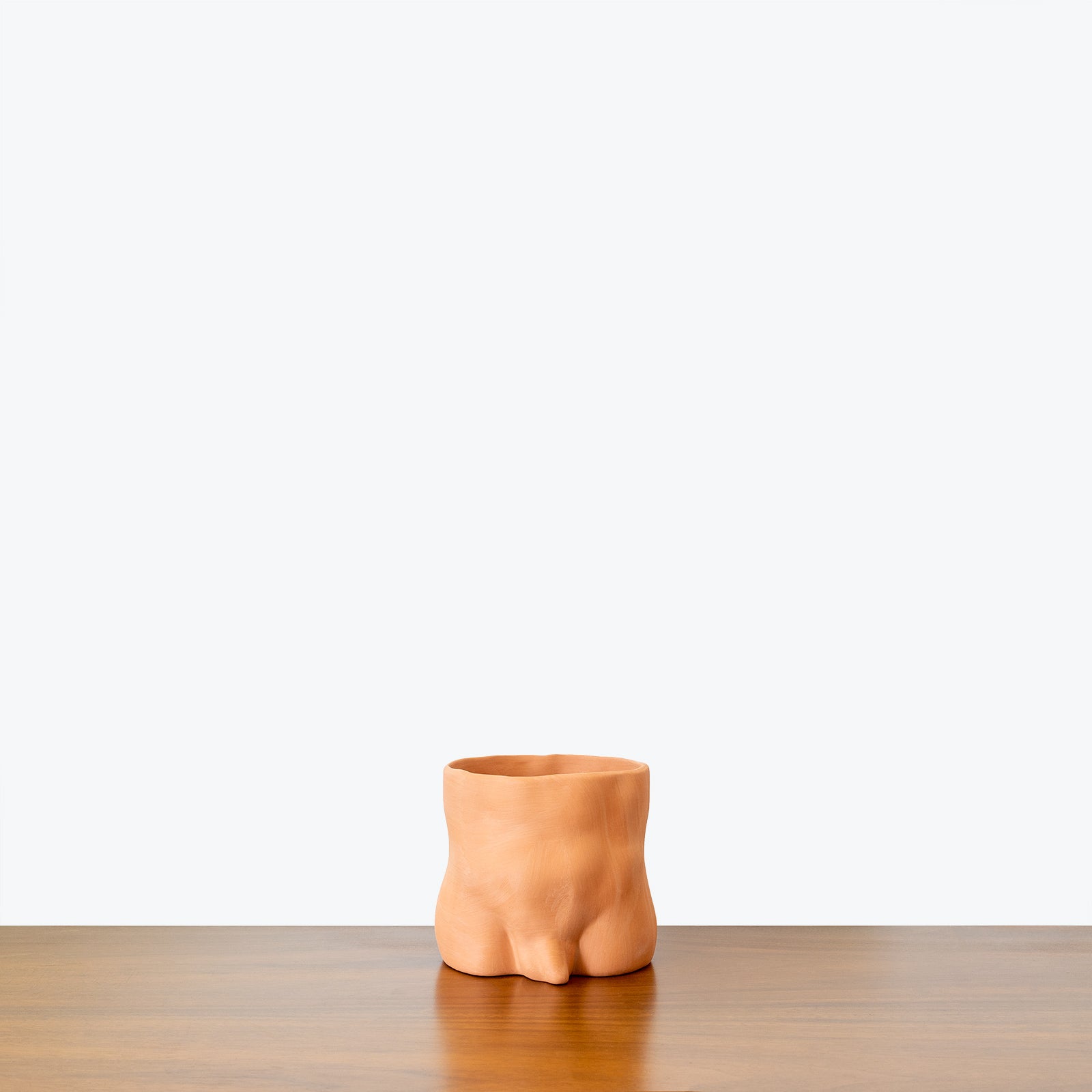 Group Partner Planter - House Plants Delivery Toronto - JOMO Studio