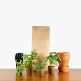 Herb Garden Kit — Herb Kit (Mint + Rosemary + Basil)