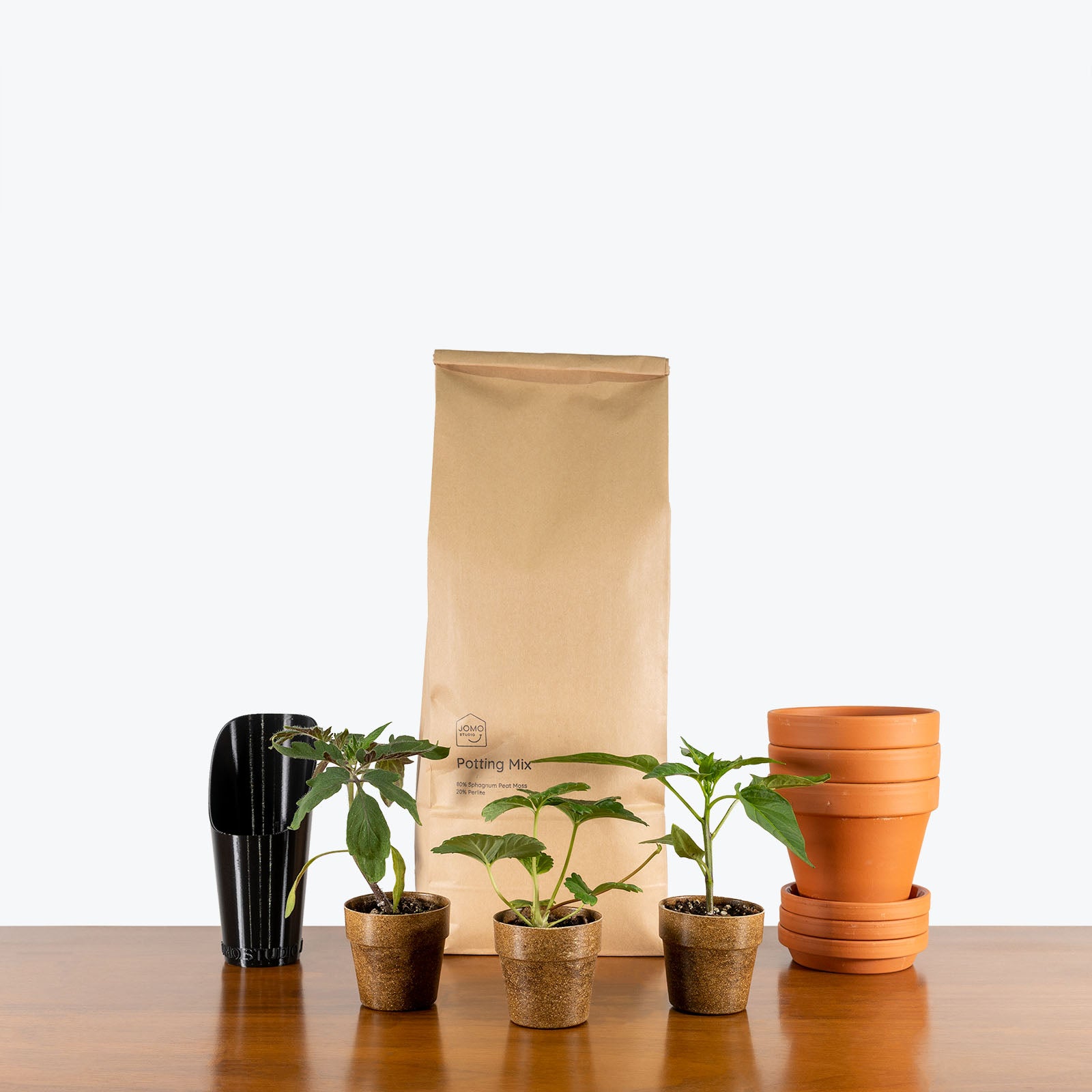 Herb Garden Kit - House Plants Delivery Toronto - JOMO Studio