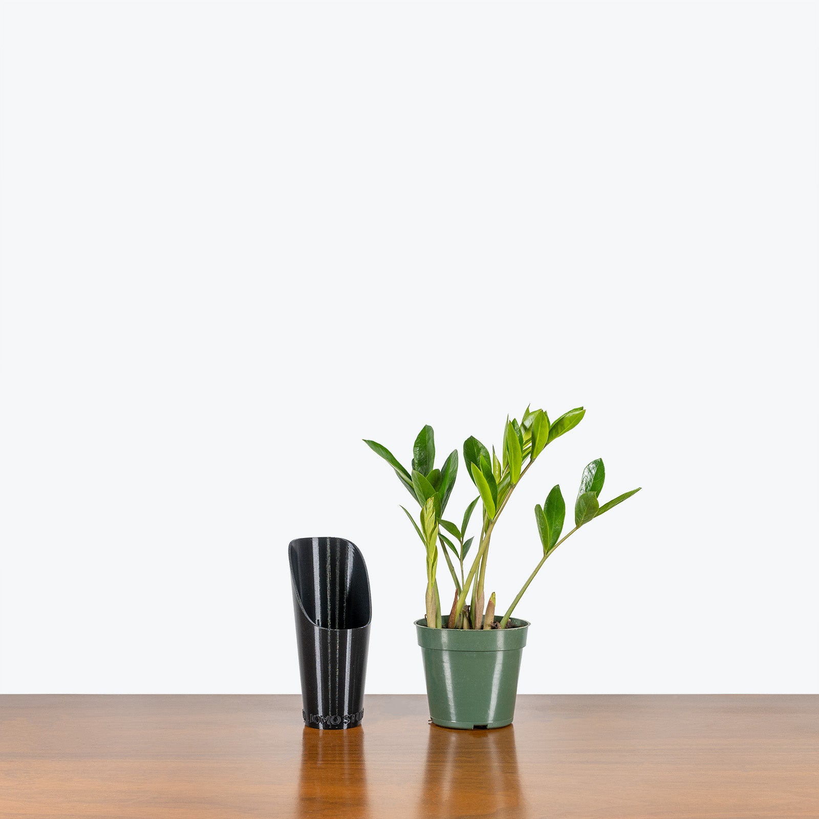 JOMO Soil Scoop - House Plants Delivery Toronto - JOMO Studio