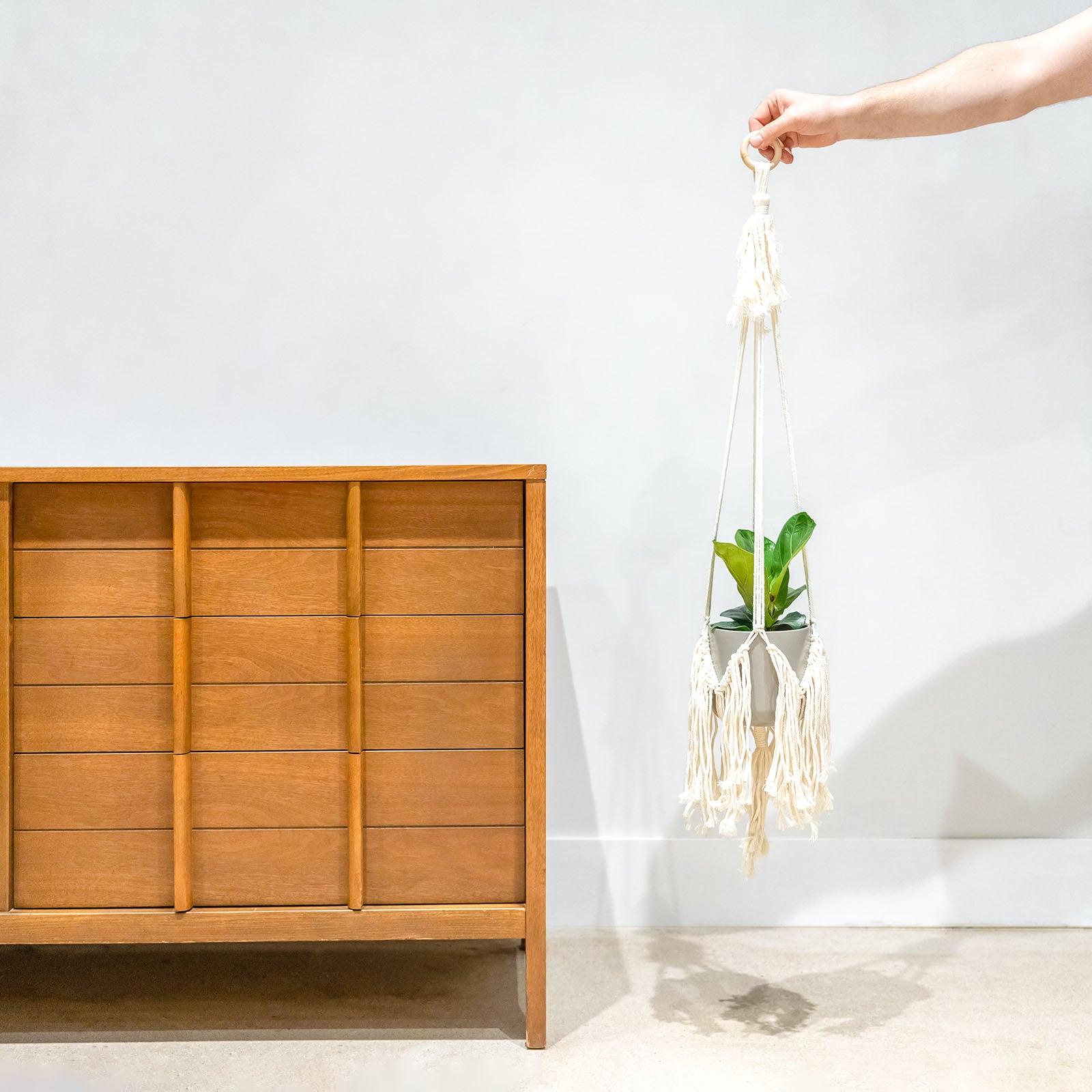 Macrame Planter Hanger - House Plants Delivery Toronto - JOMO Studio