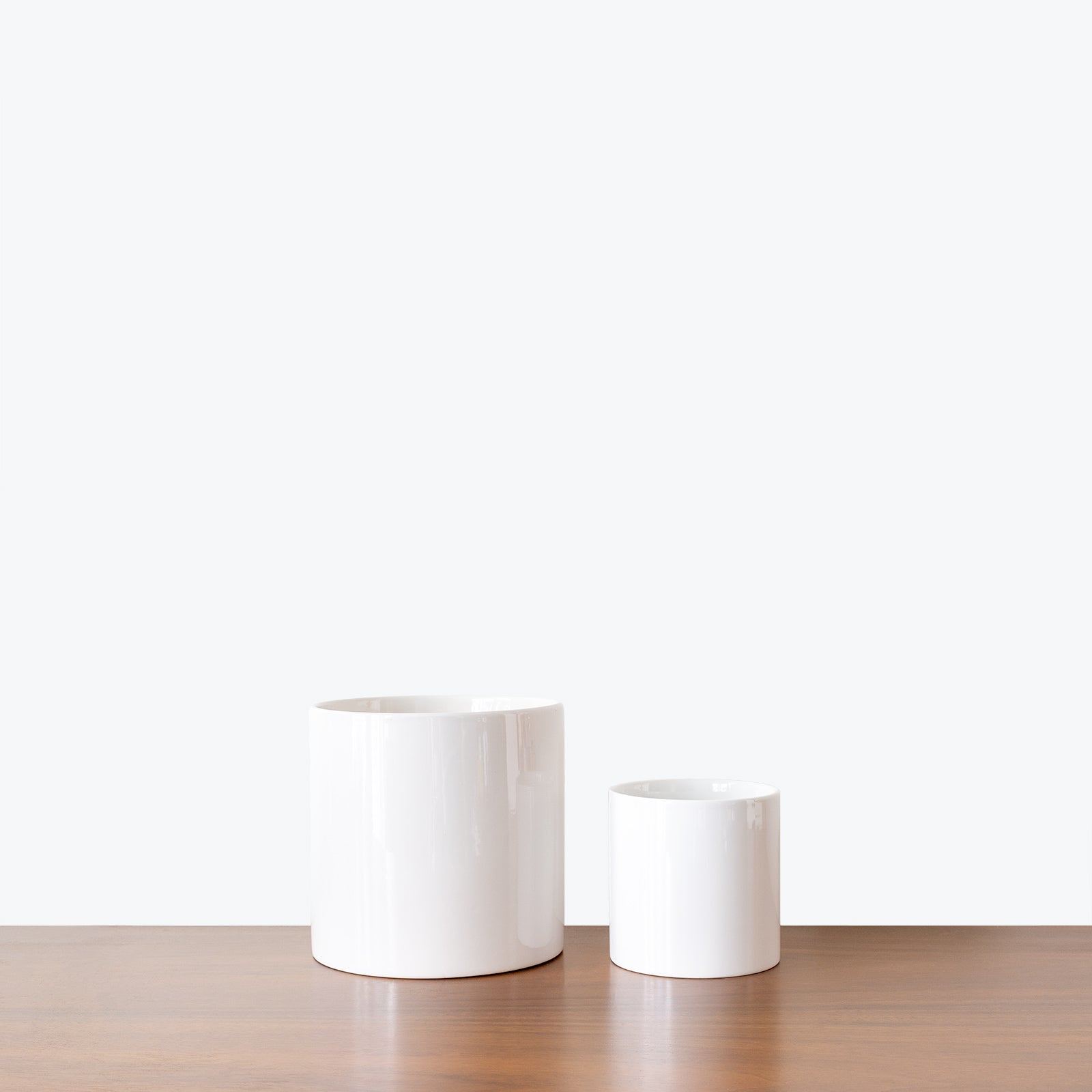 Minimalist Circular Planter - House Plants Delivery Toronto - JOMO Studio