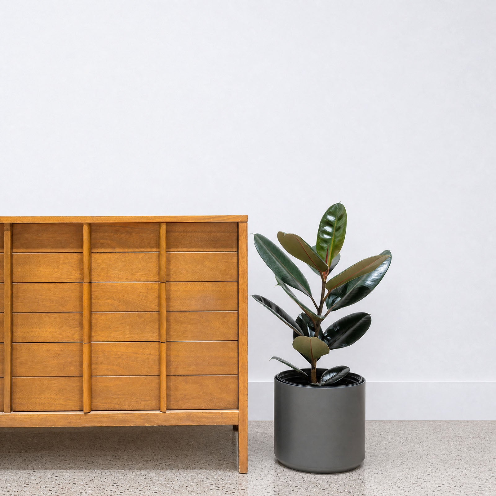 Modern Black Ceramic Planter - House Plants Delivery Toronto - JOMO Studio