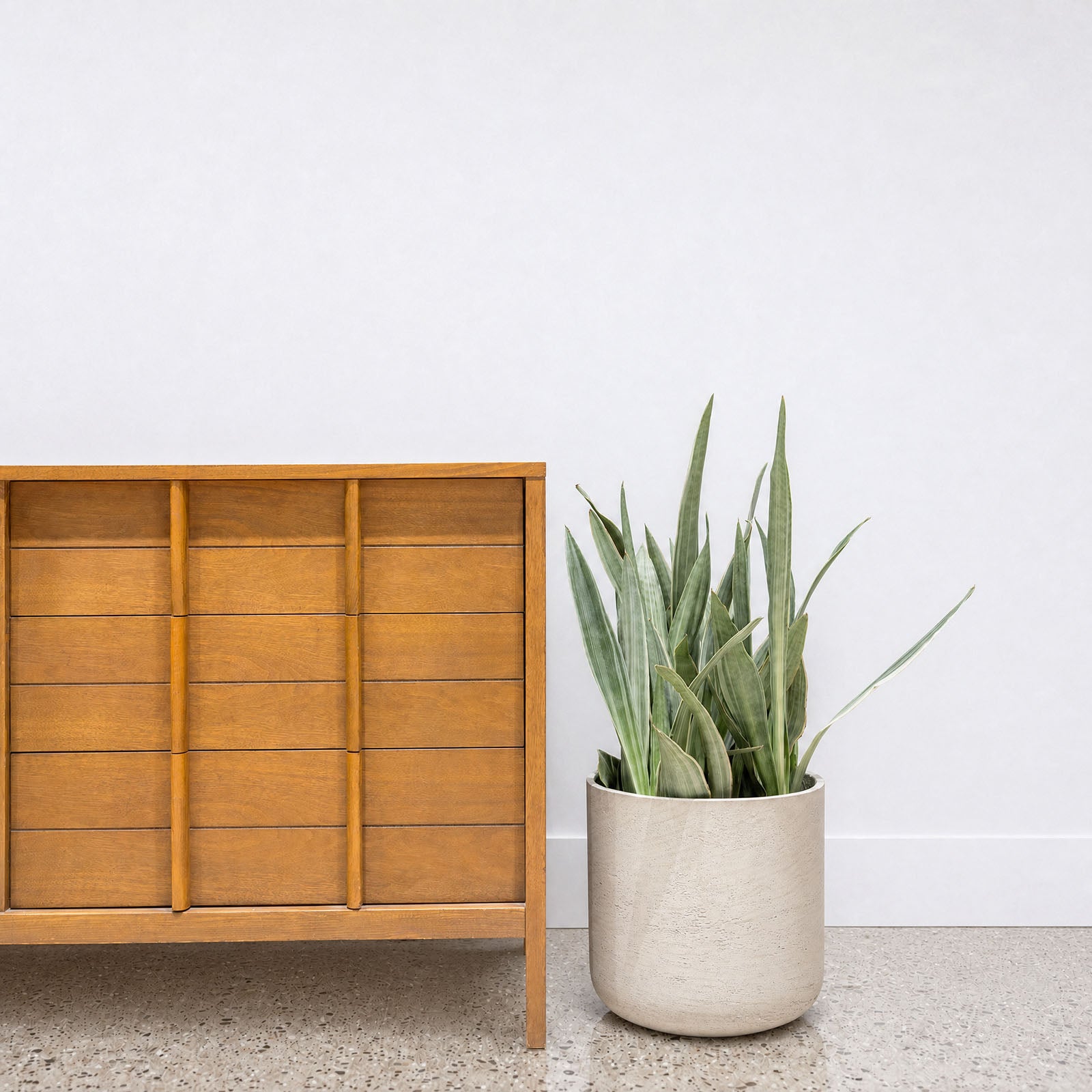 Modern Concrete Planter - House Plants Delivery Toronto - JOMO Studio