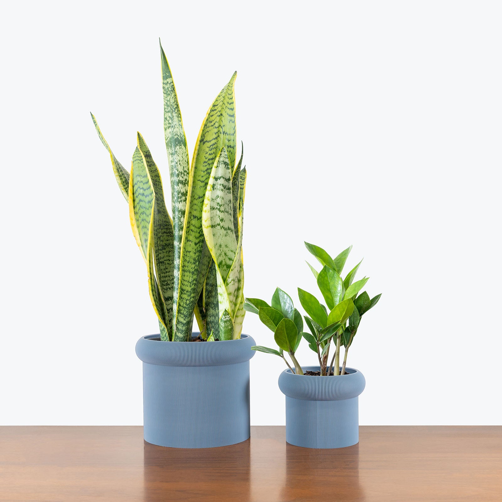 Mushroom Planter - 3D Printed Planter - House Plants Delivery Toronto - JOMO Studio #color_grey
