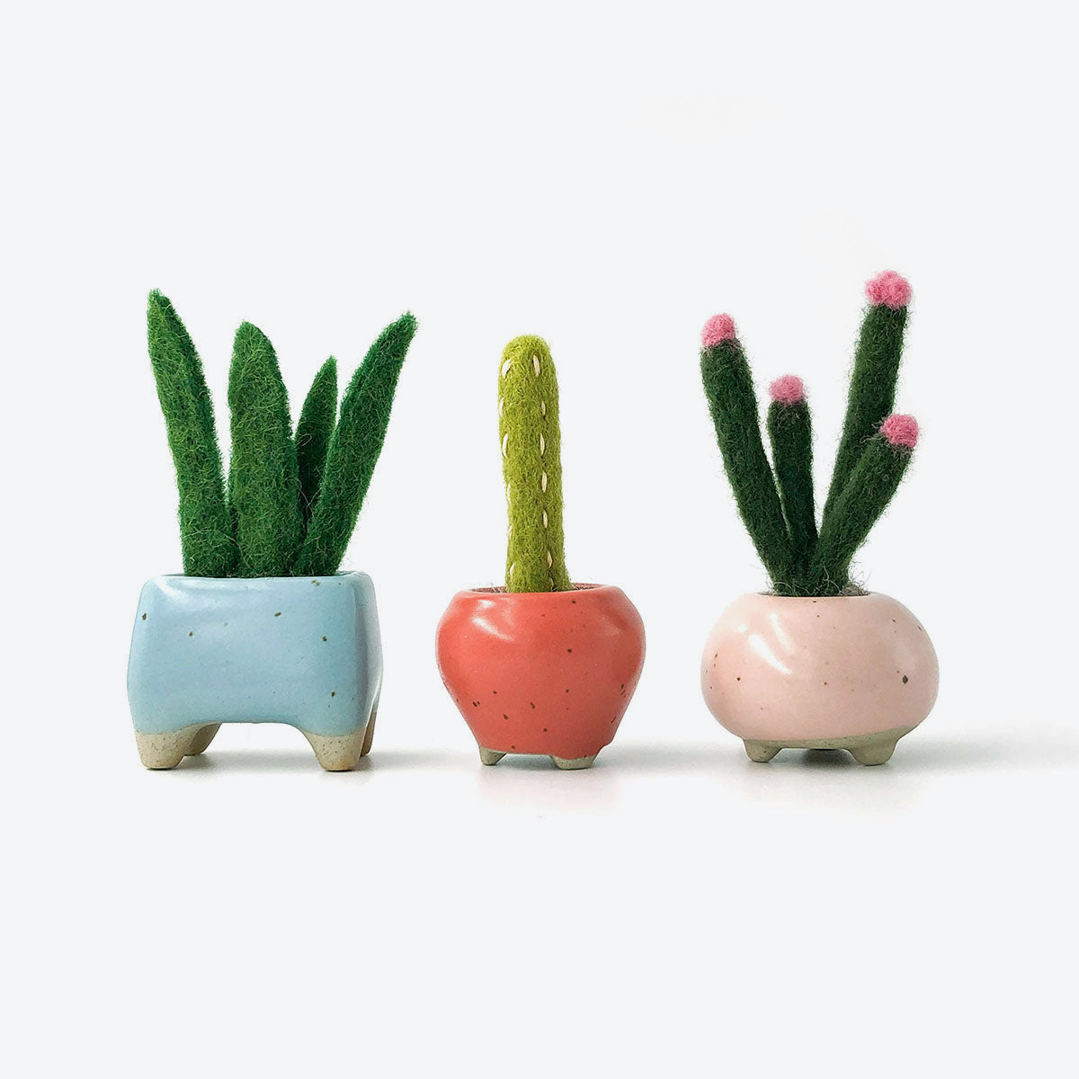 Felt succulents in a concrete planter - Toronto Succulent Needle Felting Workshop - JOMO Studio