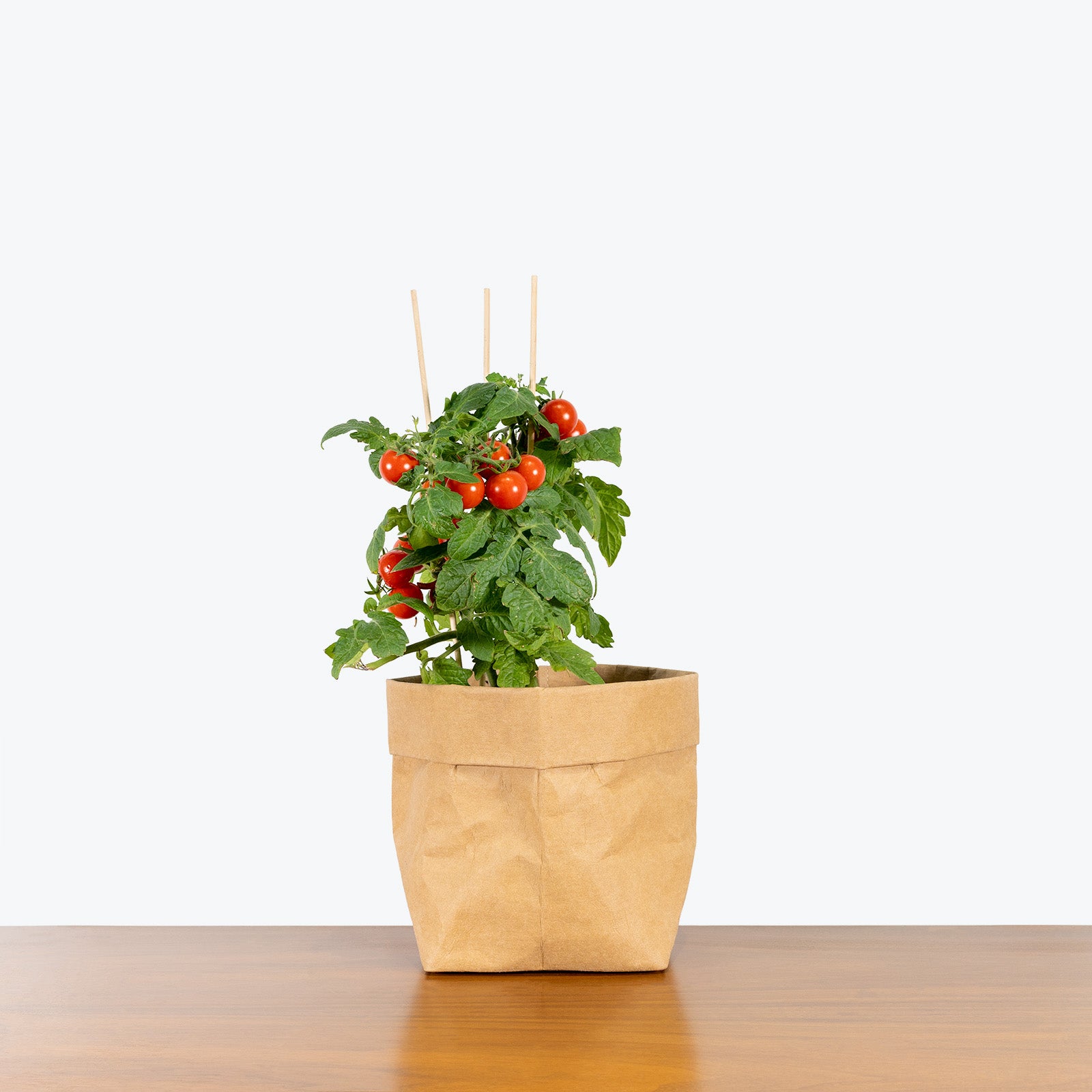 Organic Cherry Tomato - House Plants Delivery Toronto - JOMO Studio