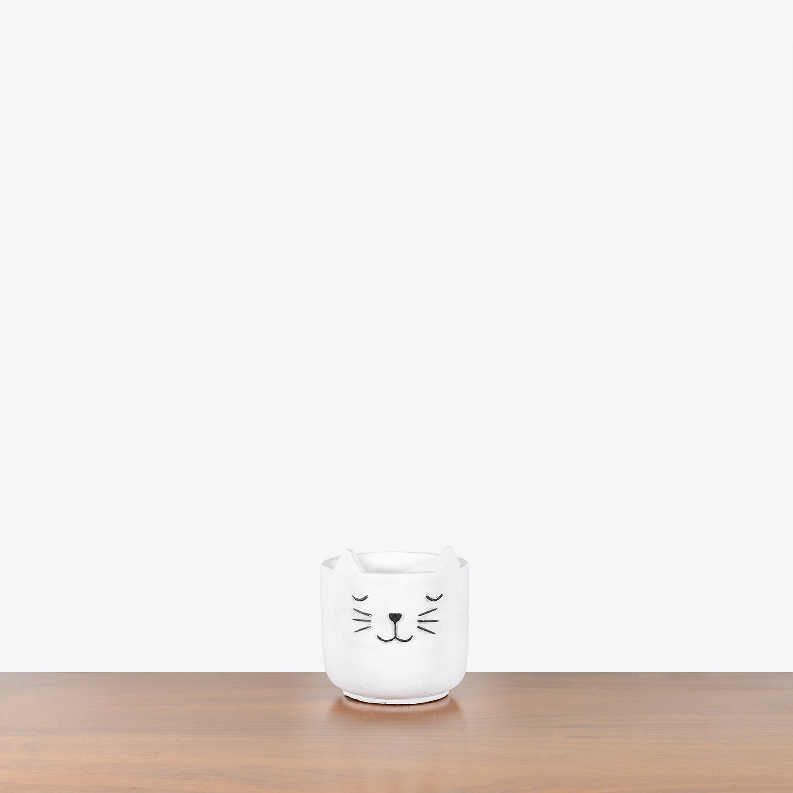 Sleeping Cat Planter - House Plants Delivery Toronto - JOMO Studio