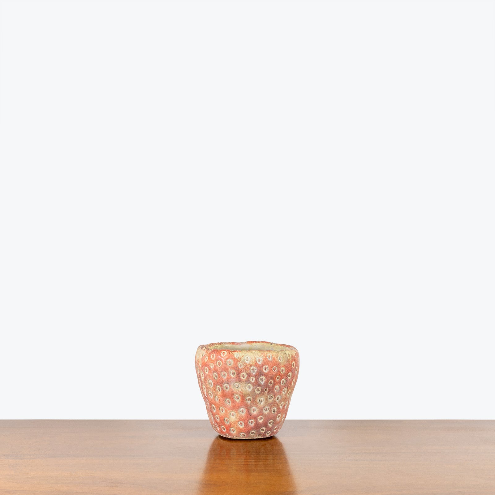 Strawberry Planter - House Plants Delivery Toronto - JOMO Studio