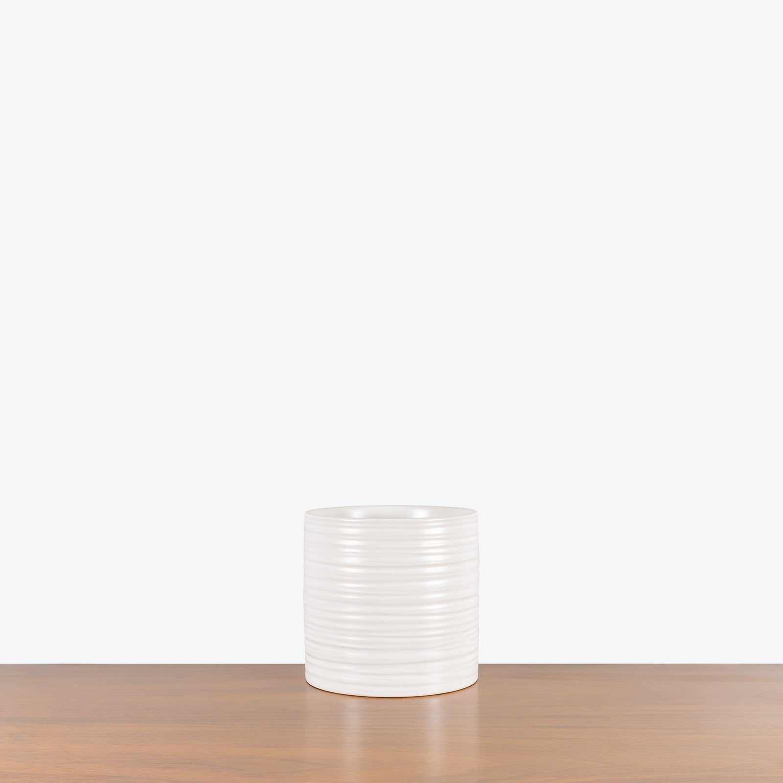 Striated Ceramic Planter - House Plants Delivery Toronto - JOMO Studio