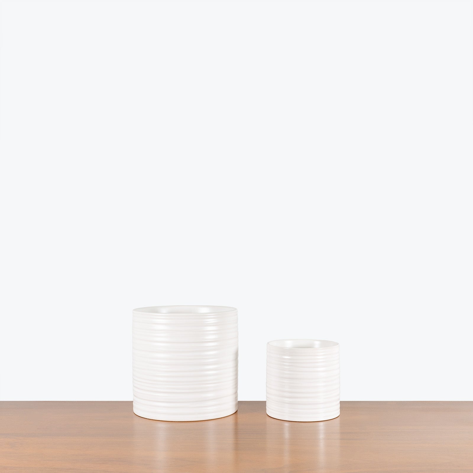 Striated Ceramic Planter - House Plants Delivery Toronto - JOMO Studio