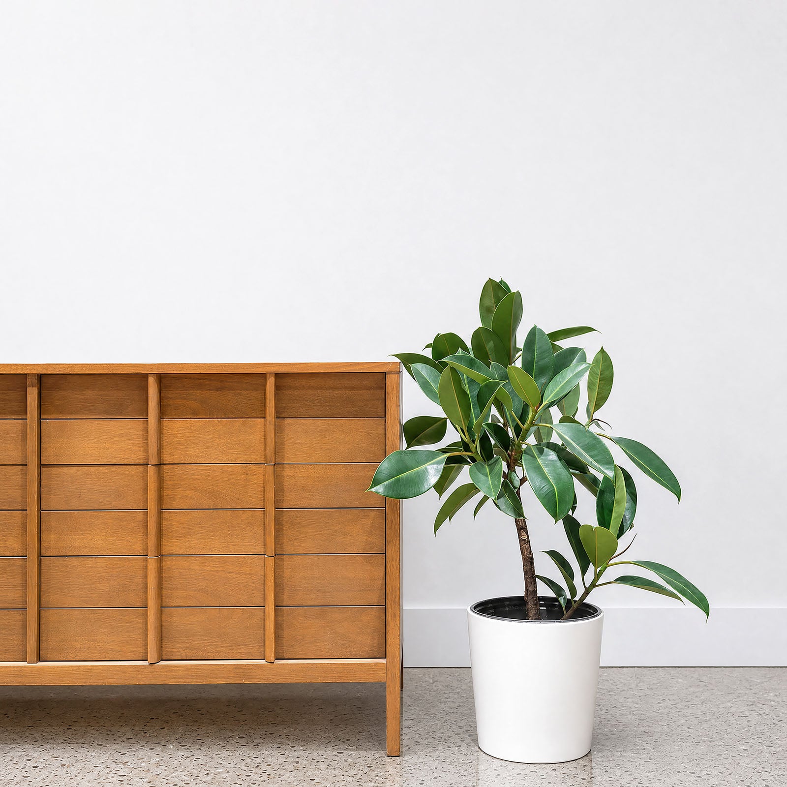 Tapered Ceramic Planter - House Plants Delivery Toronto - JOMO Studio