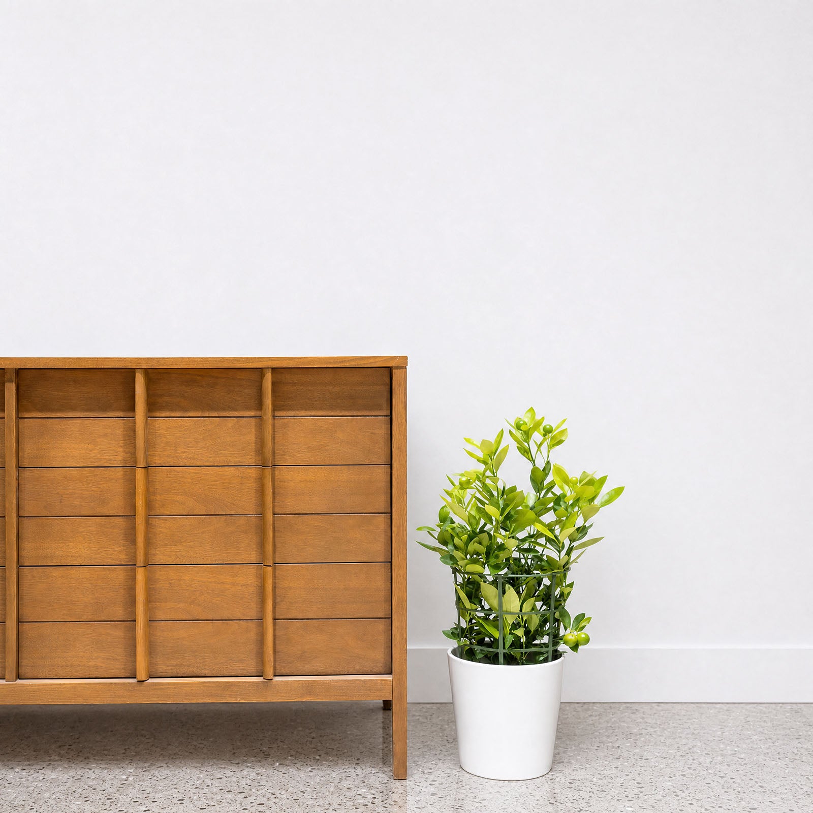 Tapered Ceramic Planter - House Plants Delivery Toronto - JOMO Studio