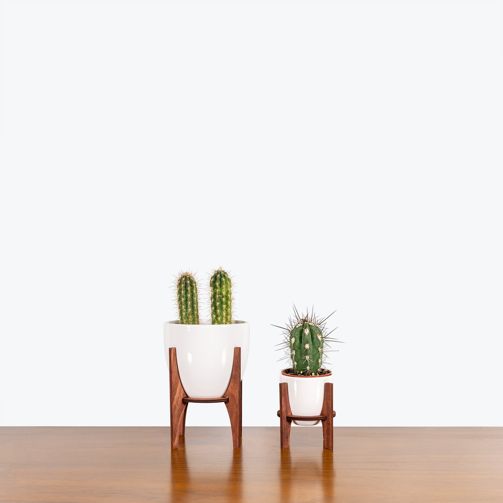 White Planter with Stand - House Plants Delivery Toronto - JOMO Studio