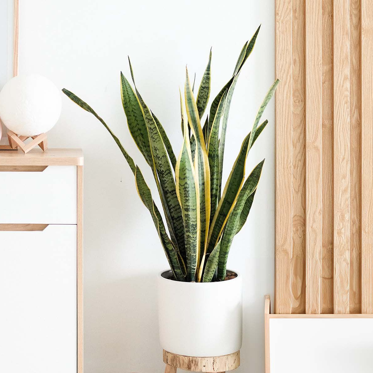 indoor decorative plant pots LuxenHome 14.5