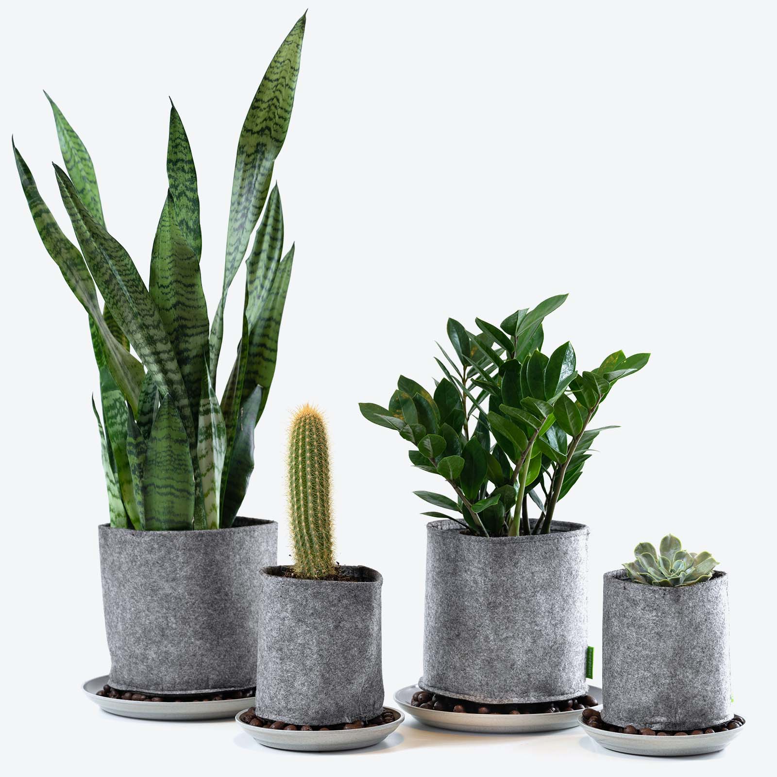 Bagoplant Grow Bag Kit - House Plants Delivery Toronto - JOMO Studio #color_heather grey