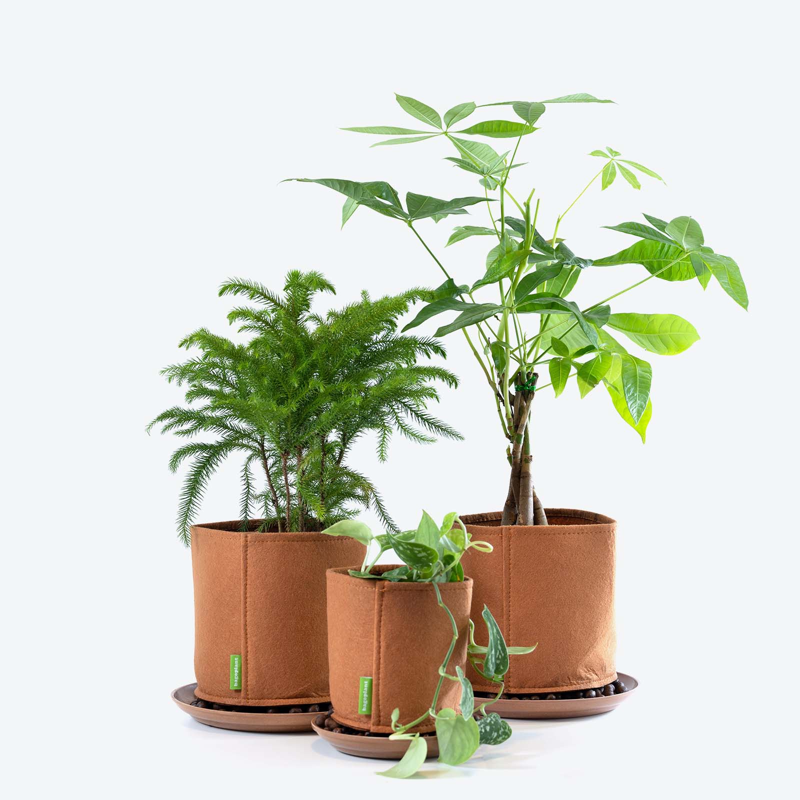 Bagoplant Grow Bag Kit - House Plants Delivery Toronto - JOMO Studio #color_terracotta