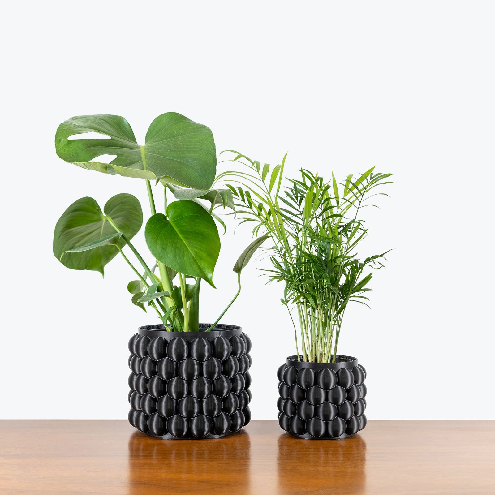 Best Selling Duo in 3D Printed Eco Friendly Bubble Black Planter - House Plants Delivery Toronto - JOMO Studio #planter_bubble planter