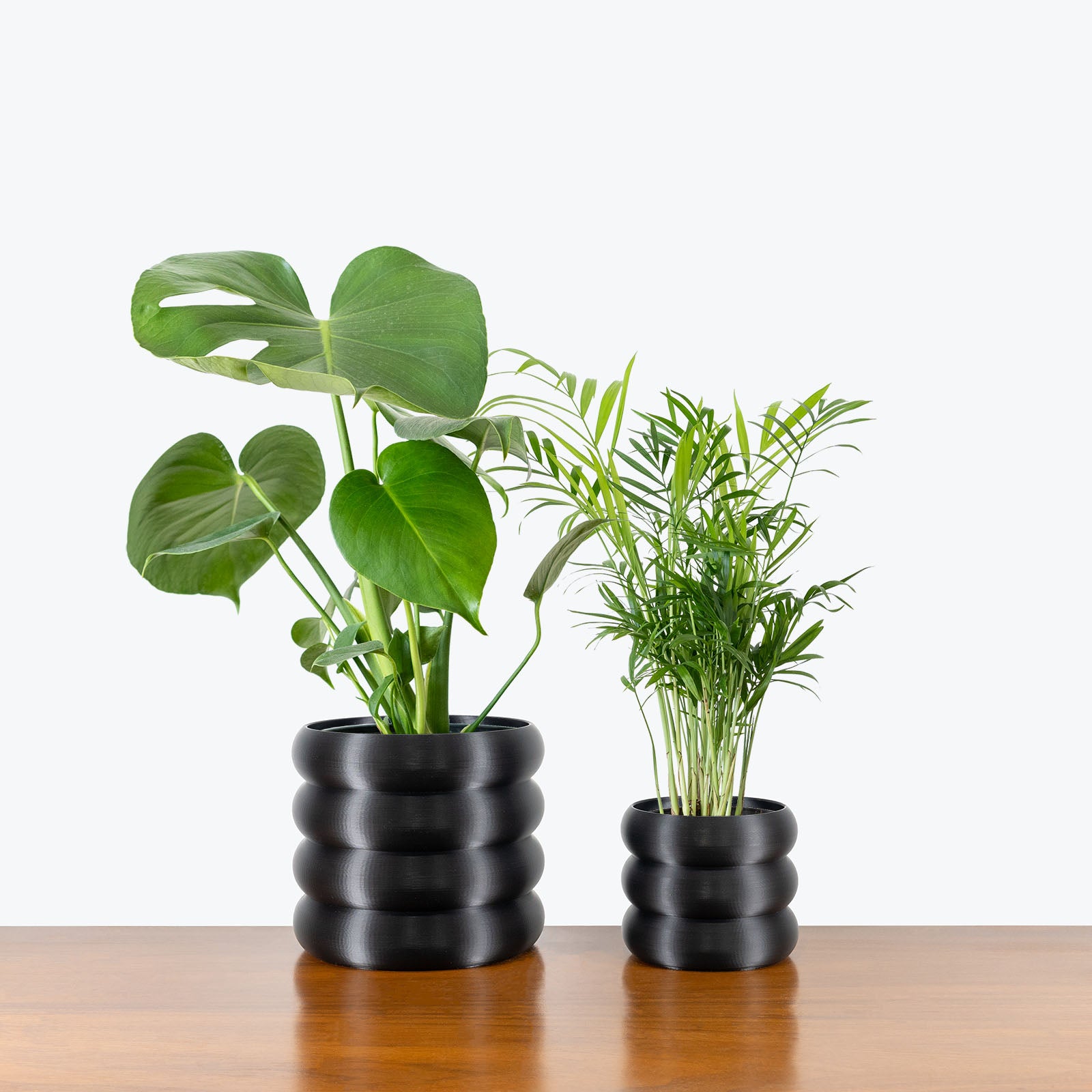 Best Selling Duo in 3D Printed Eco Friendly Donut Black Planter - House Plants Delivery Toronto - JOMO Studio #planter_donut planter