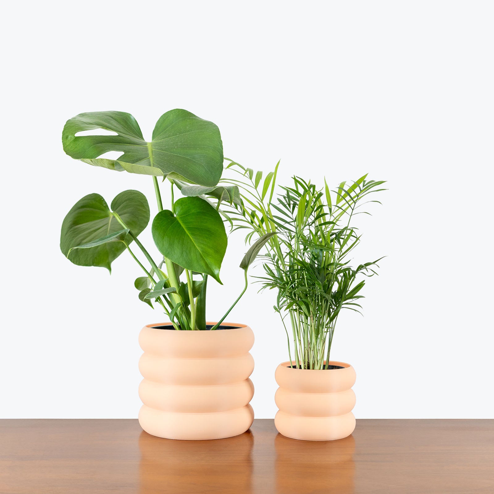 Best Selling Duo in 3D Printed Eco Friendly Donut Peach Planter - House Plants Delivery Toronto - JOMO Studio #planter_donut planter