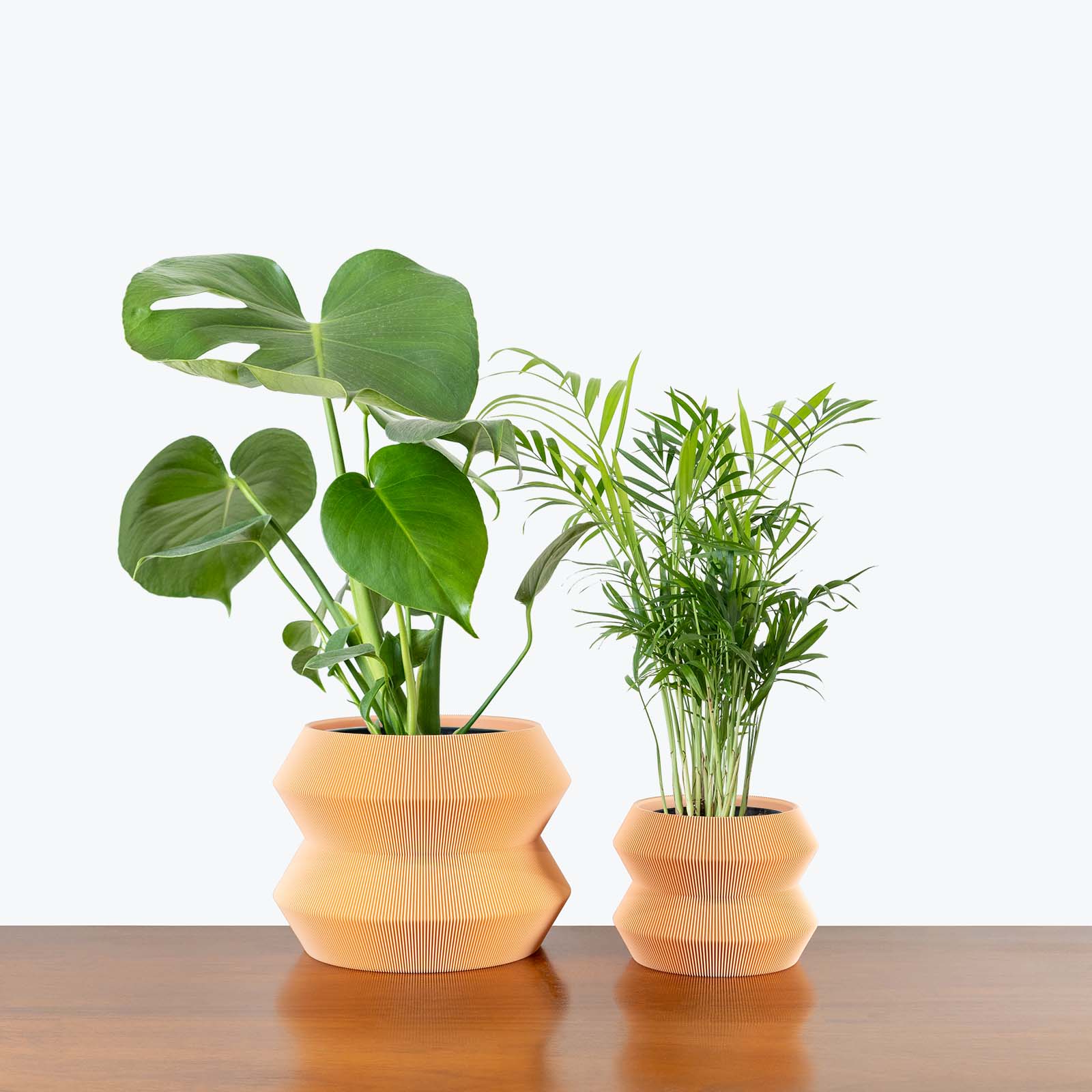 Best Selling Duo in 3D Printed Eco Friendly Geo Peach Planter - House Plants Delivery Toronto - JOMO Studio #planter_geo planter