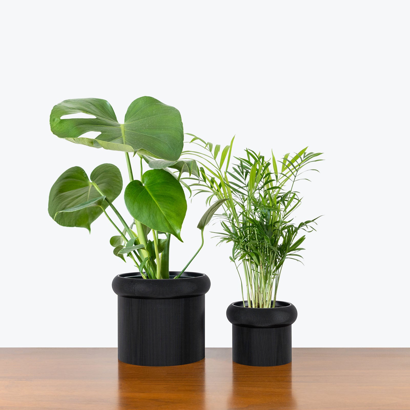 Best Selling Duo in 3D Printed Eco Friendly Mushroom Black Planter - House Plants Delivery Toronto - JOMO Studio #planter_mushroom planter